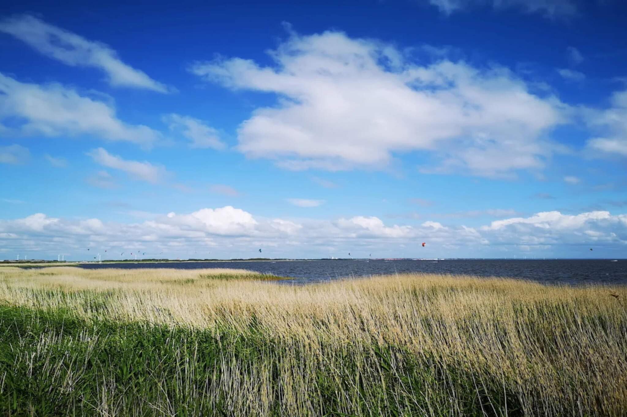 4 persoons vakantie huis in Ringkøbing-By Traum - Waterzicht