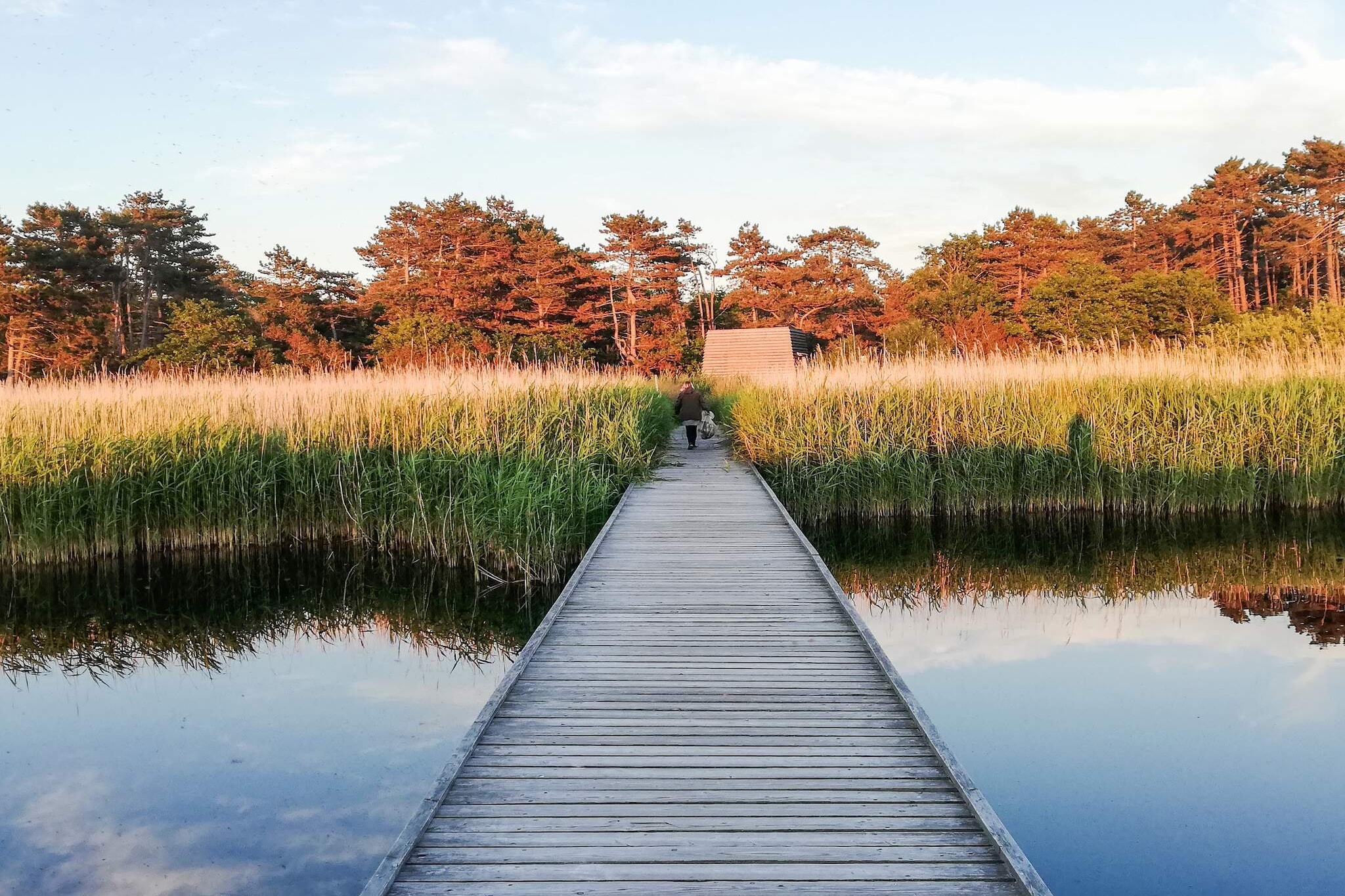 Gezellig toevluchtsoord in Ellinge Lyng -- By Traum Ferienwohnungen