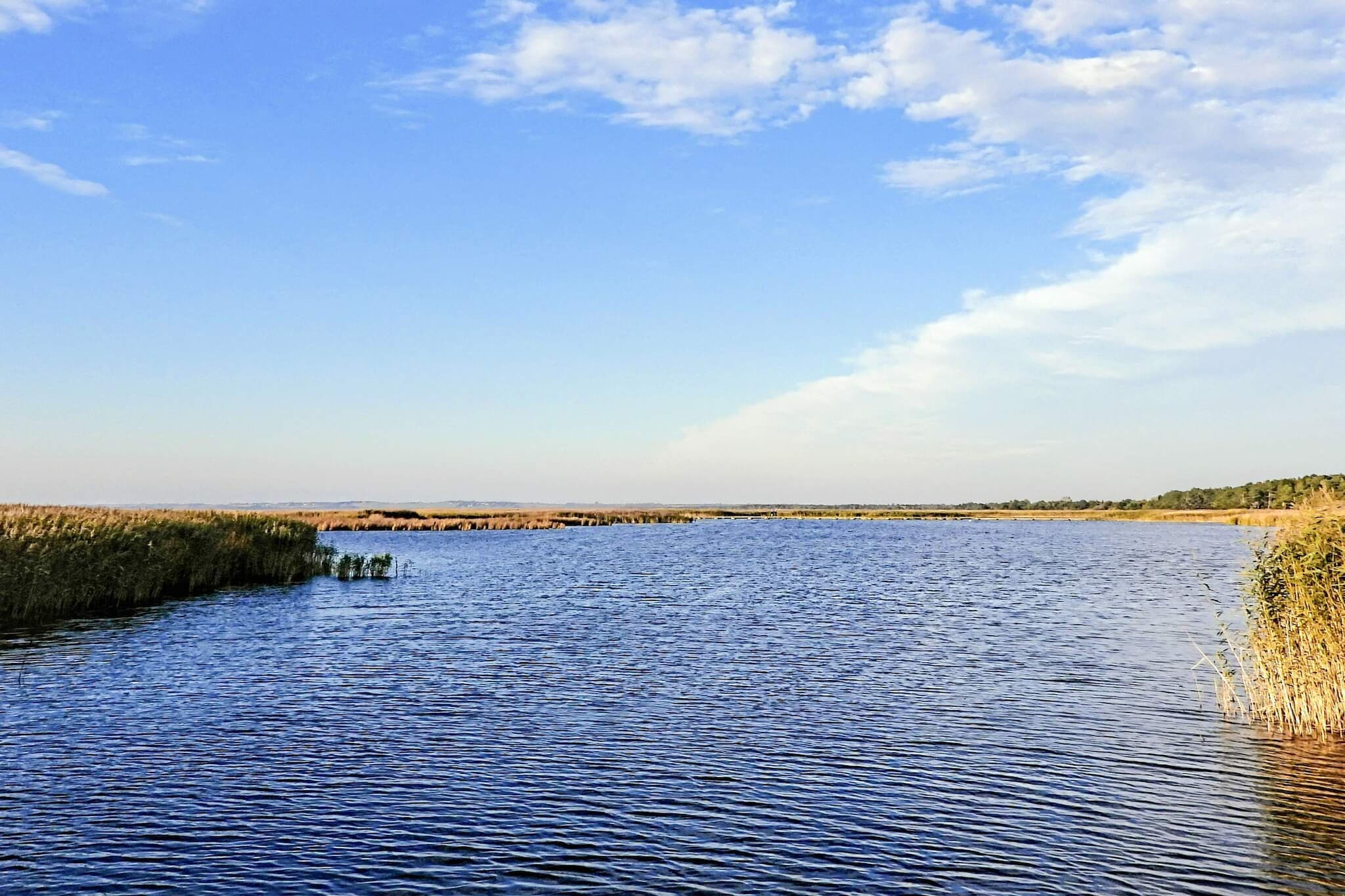 Gezellig toevluchtsoord in Ellinge Lyng -- By Traum Ferienwohnungen-Waterzicht