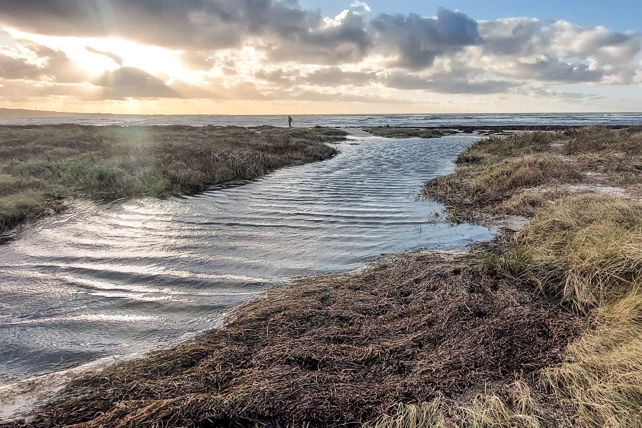 Gezellig toevluchtsoord in Ellinge Lyng -- By Traum Ferienwohnungen-Waterzicht