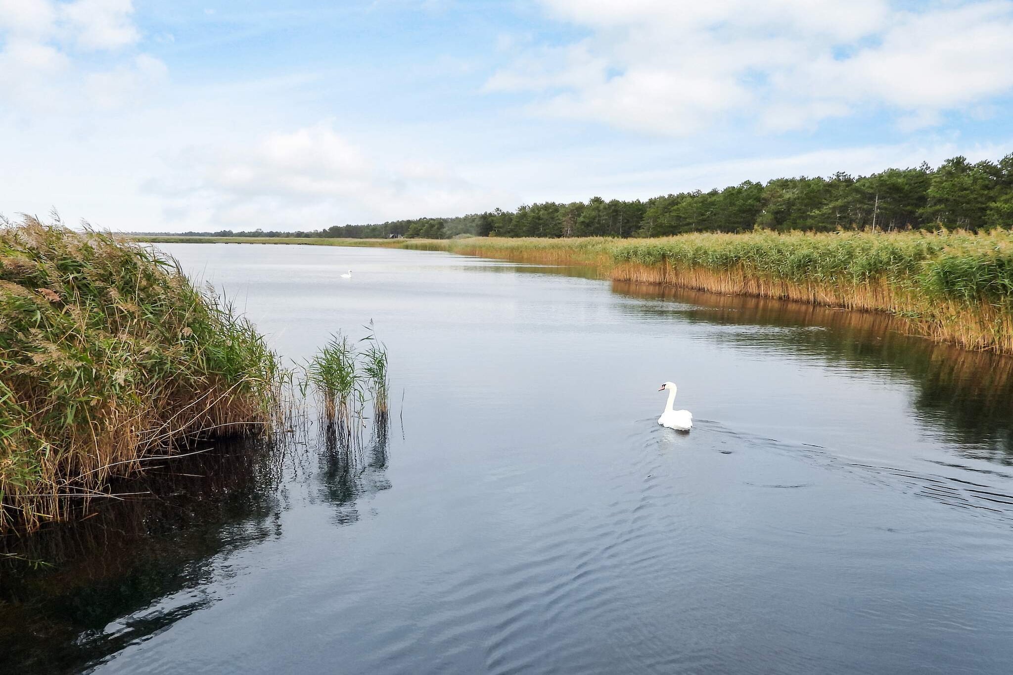 Gezellig toevluchtsoord in Ellinge Lyng -- By Traum Ferienwohnungen-Waterzicht