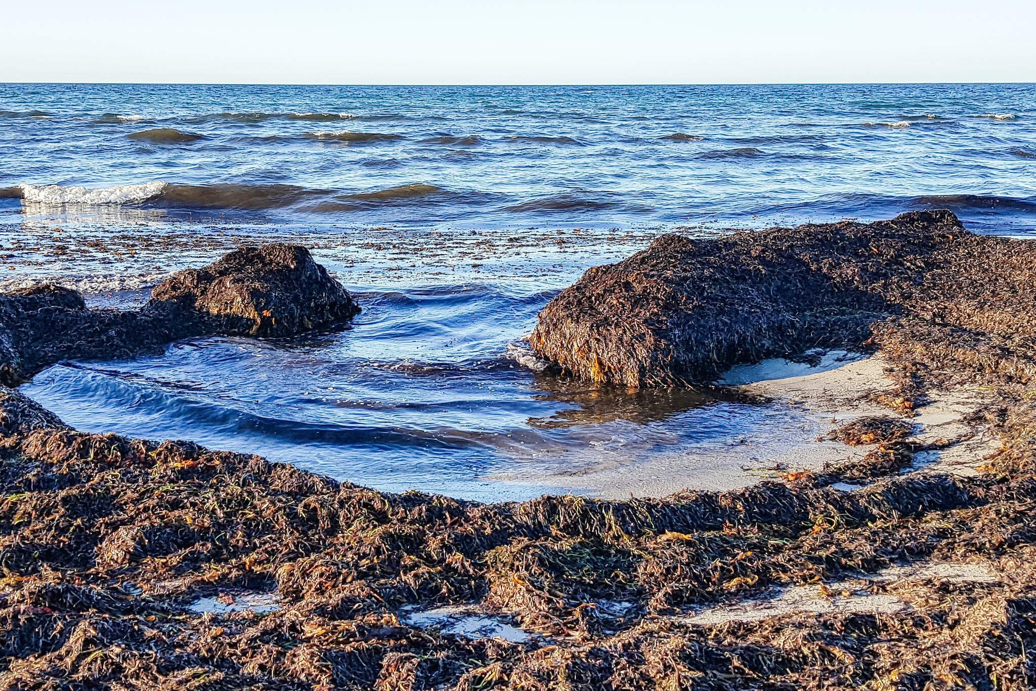 Gezellig toevluchtsoord in Ellinge Lyng -- By Traum Ferienwohnungen-Waterzicht