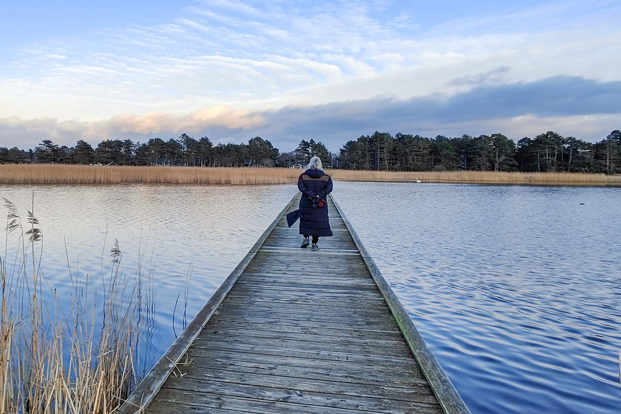 Gezellig toevluchtsoord in Ellinge Lyng -- By Traum Ferienwohnungen-Waterzicht