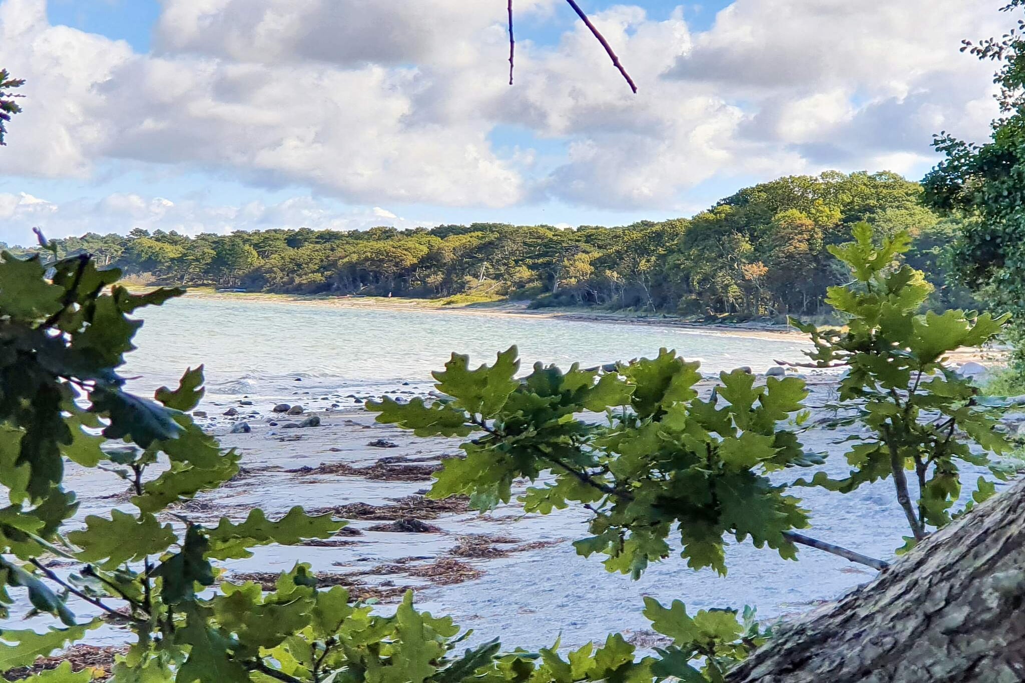 Gezellig toevluchtsoord in Ellinge Lyng -- By Traum Ferienwohnungen-Waterzicht