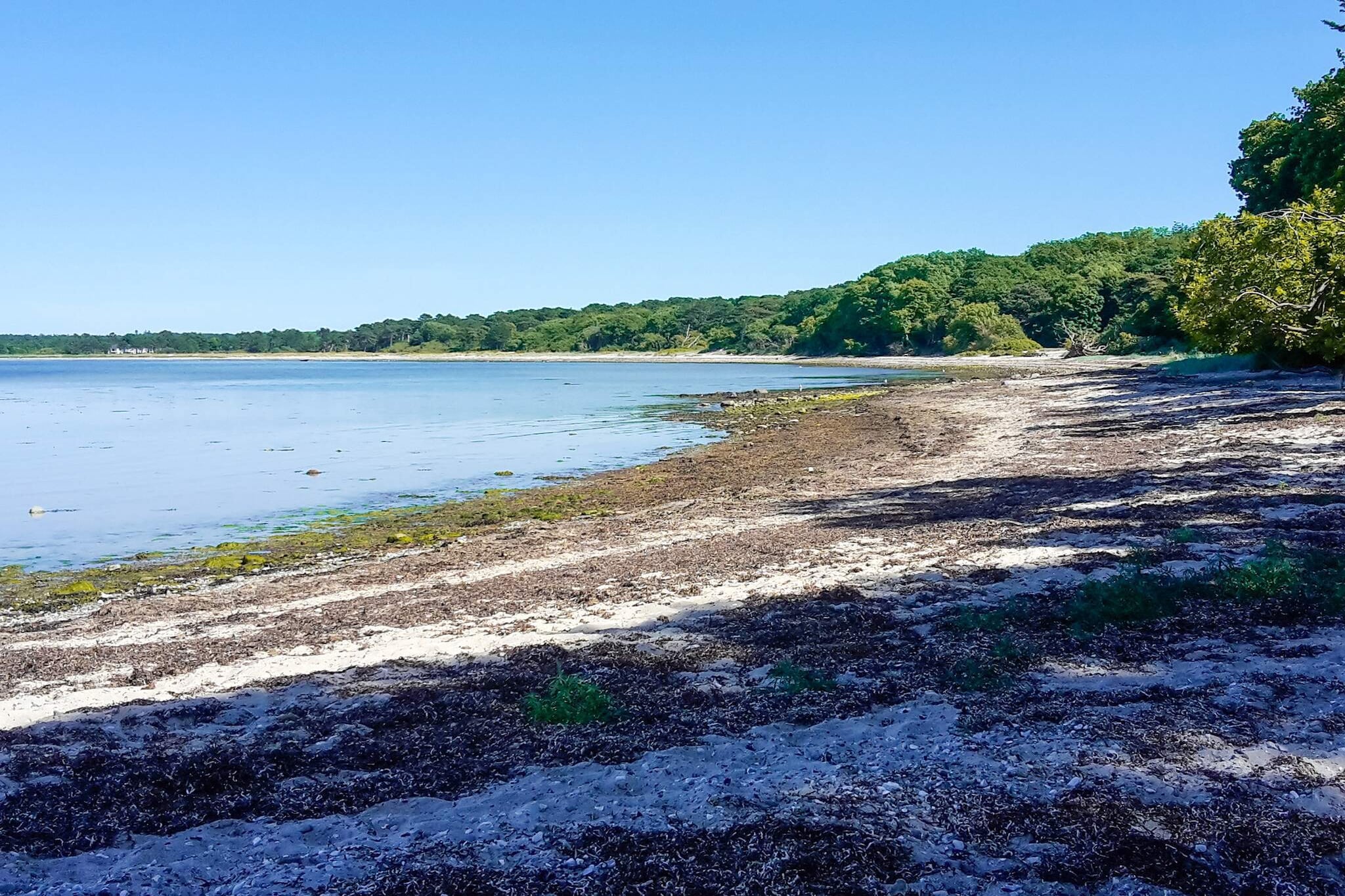 Gezellig toevluchtsoord in Ellinge Lyng -- By Traum Ferienwohnungen-Waterzicht