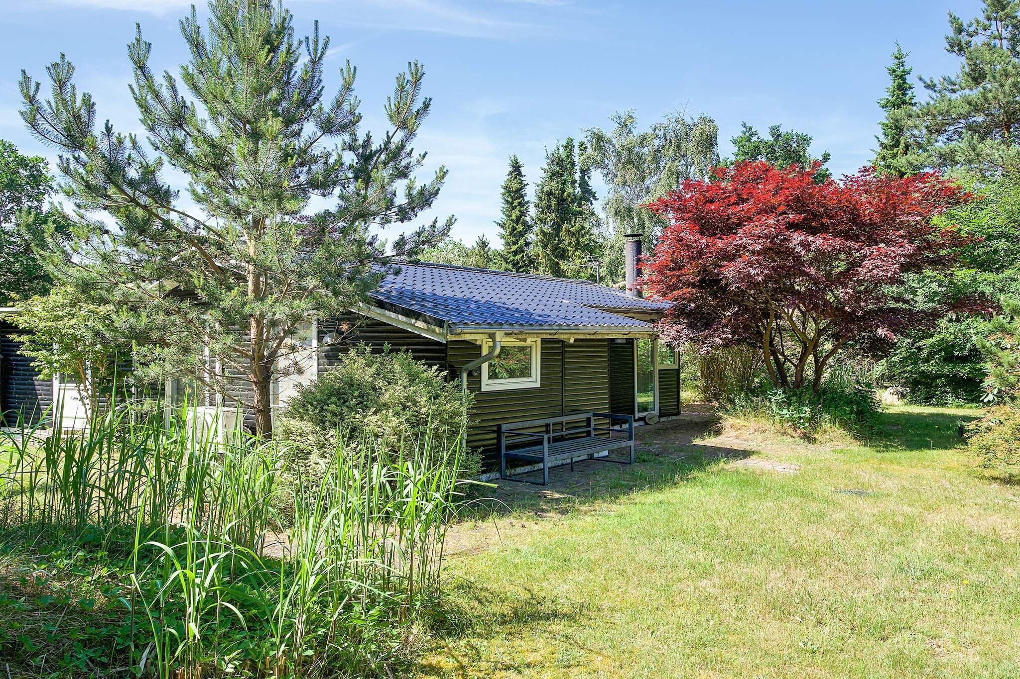 Gemütlicher Rückzugsort in Ellinge Lyng - Aussicht