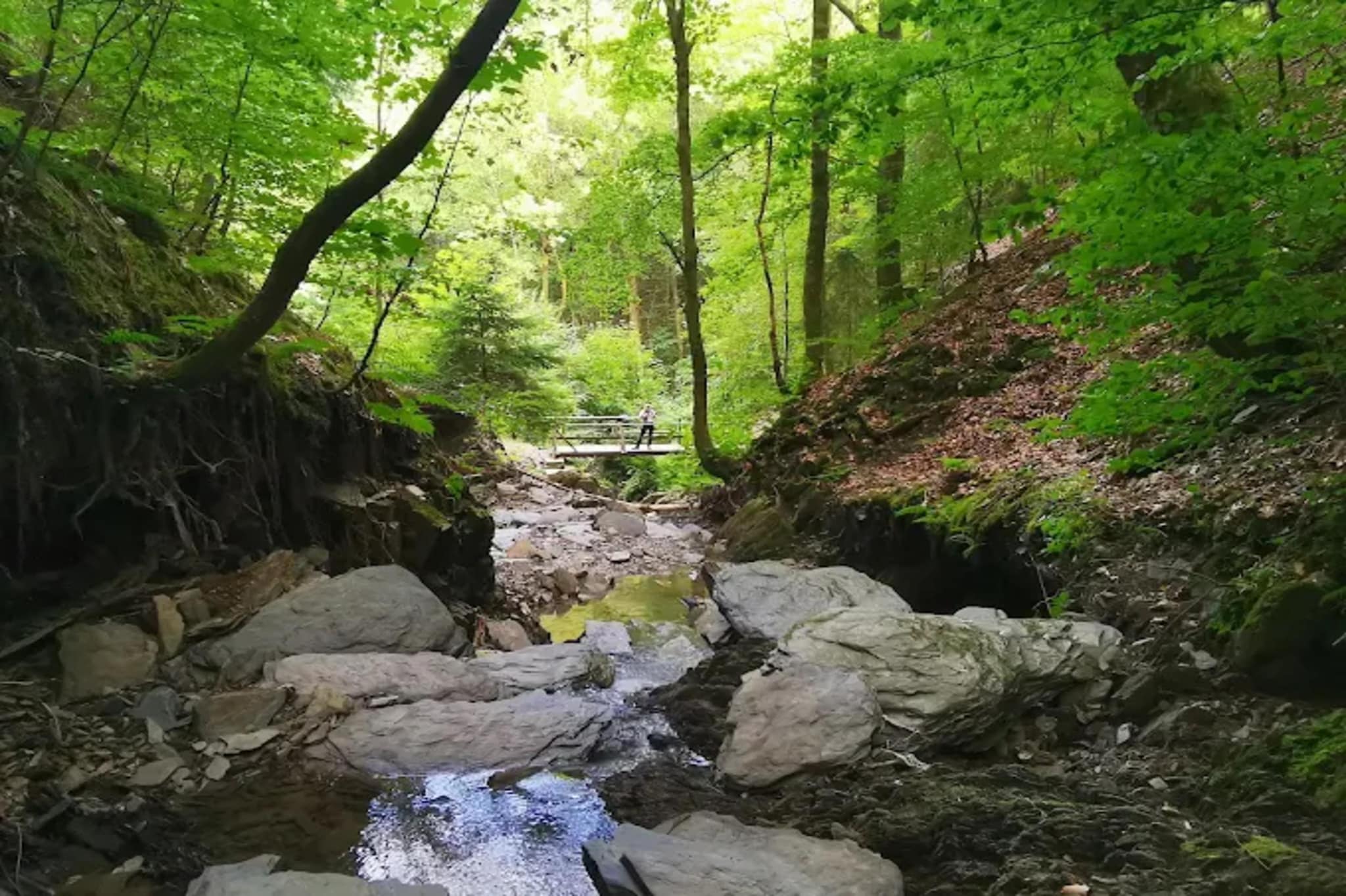 Feldstraße 30-O-Gebieden zomer 5km