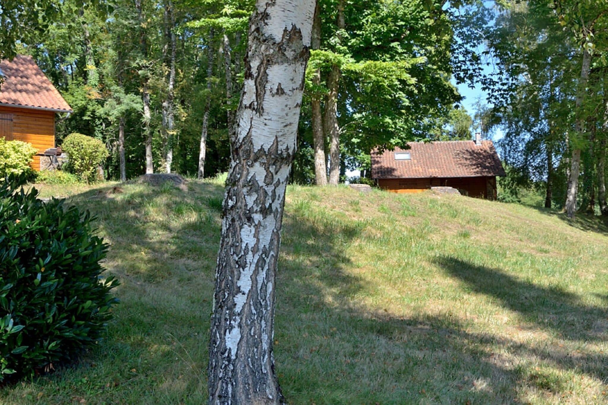 Knus vakantiehuis in Cussac met een privéterras
