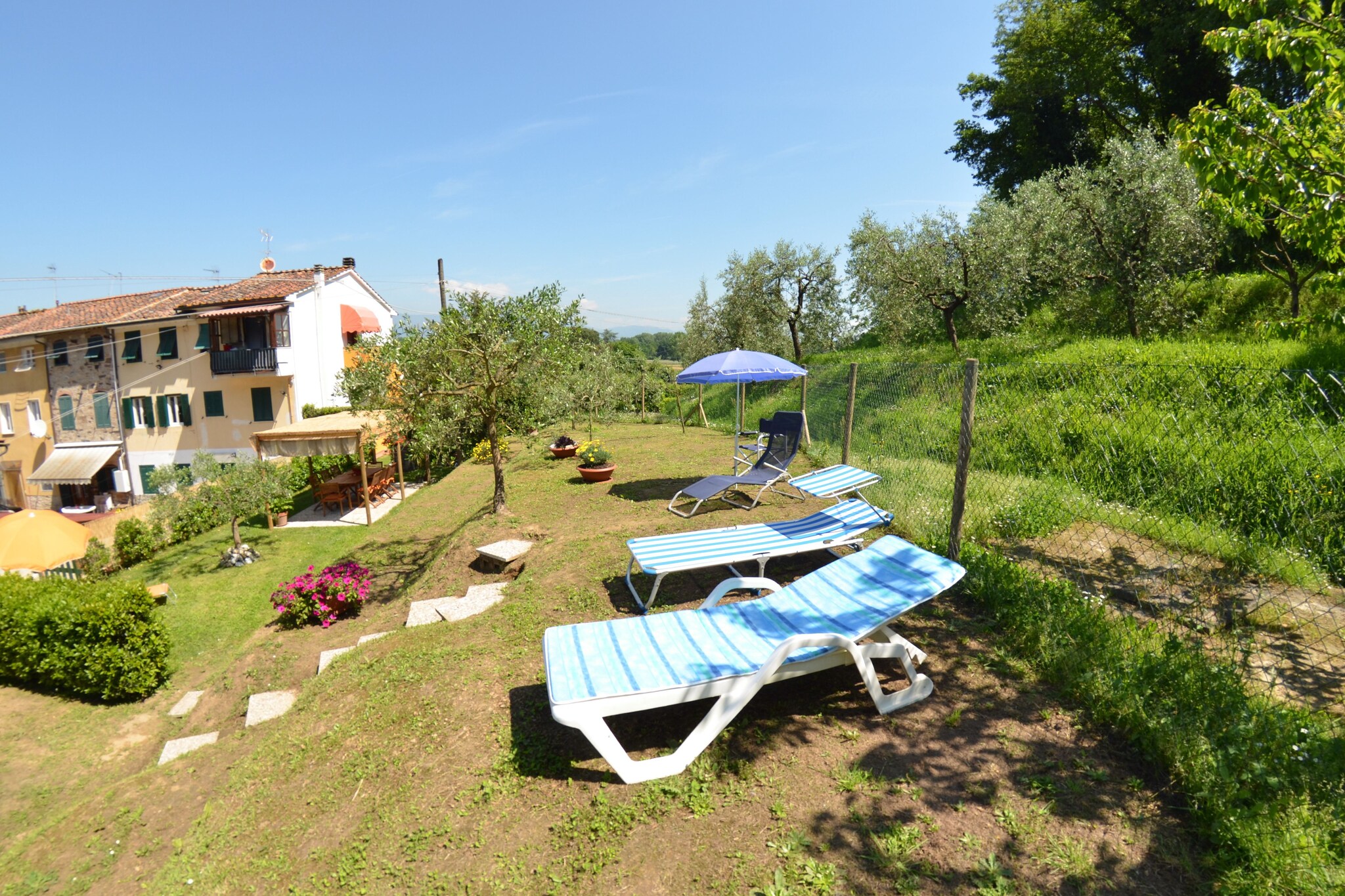 Garden Summer