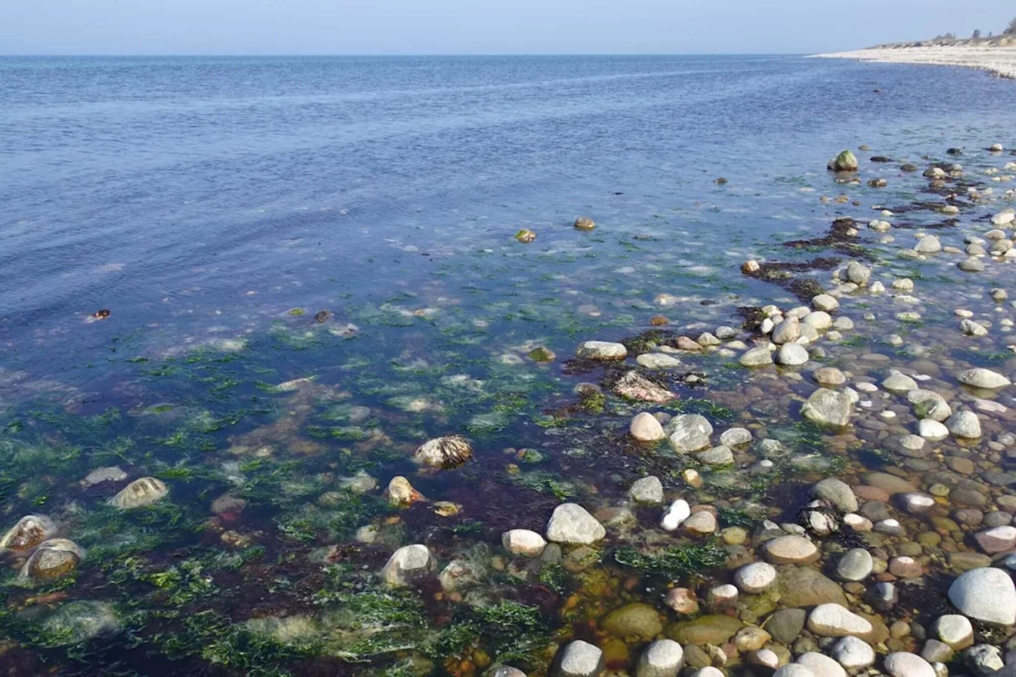 8 persoons vakantie huis in Gilleleje-By Traum-Waterzicht
