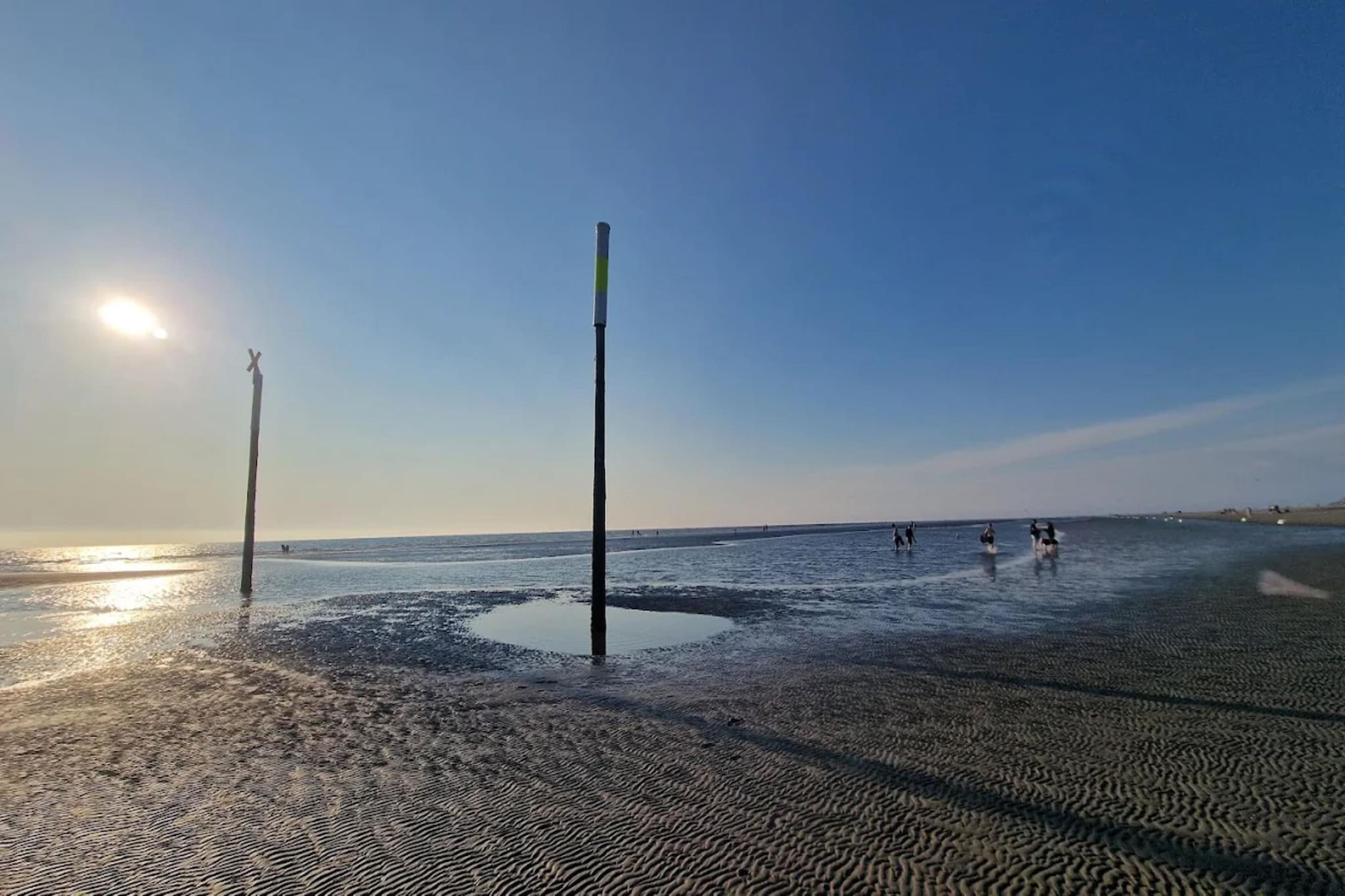 Ferienwohnung Sommerdeich - 4 Personen-Gebieden zomer 5km