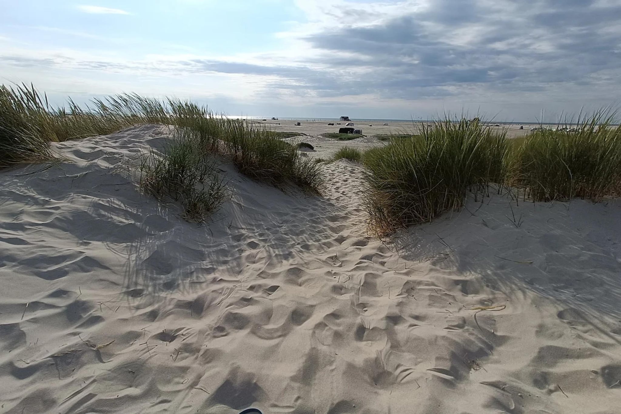 Ferienwohnung Sommerdeich - 4 Personen-Gebieden zomer 5km