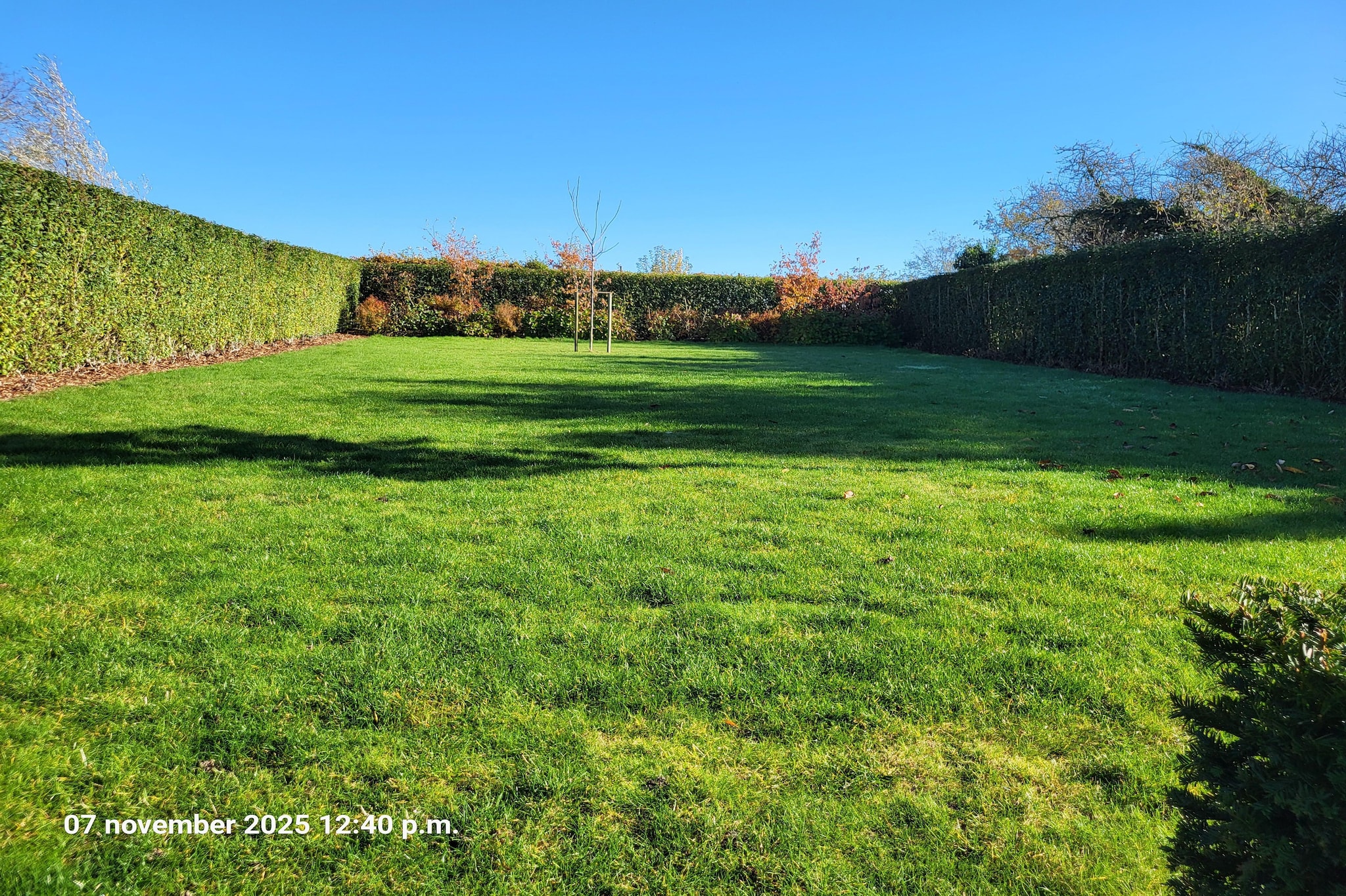 Maison Au Trieu-Garten Sommer