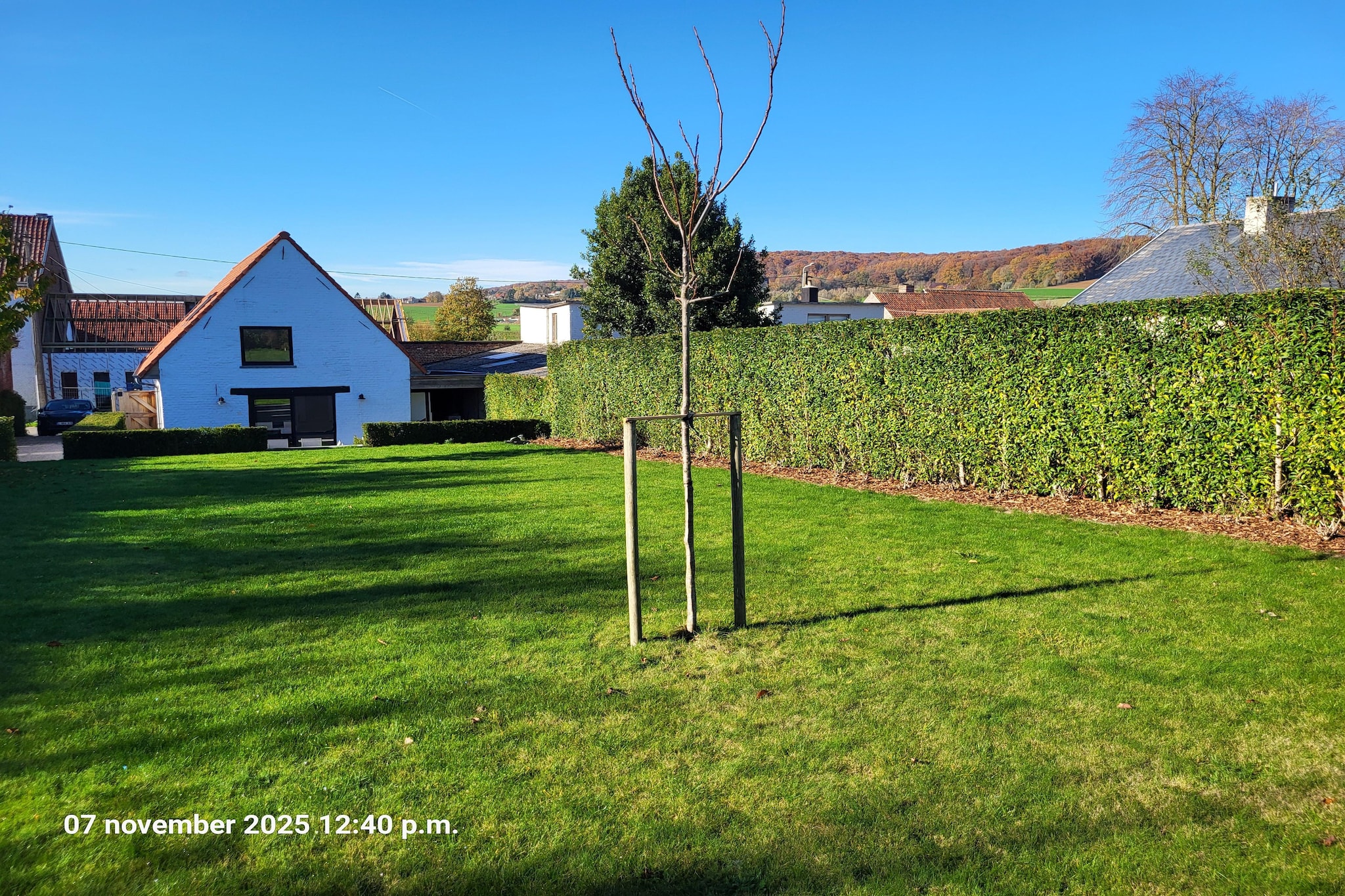 Maison Au Trieu-Garten Sommer