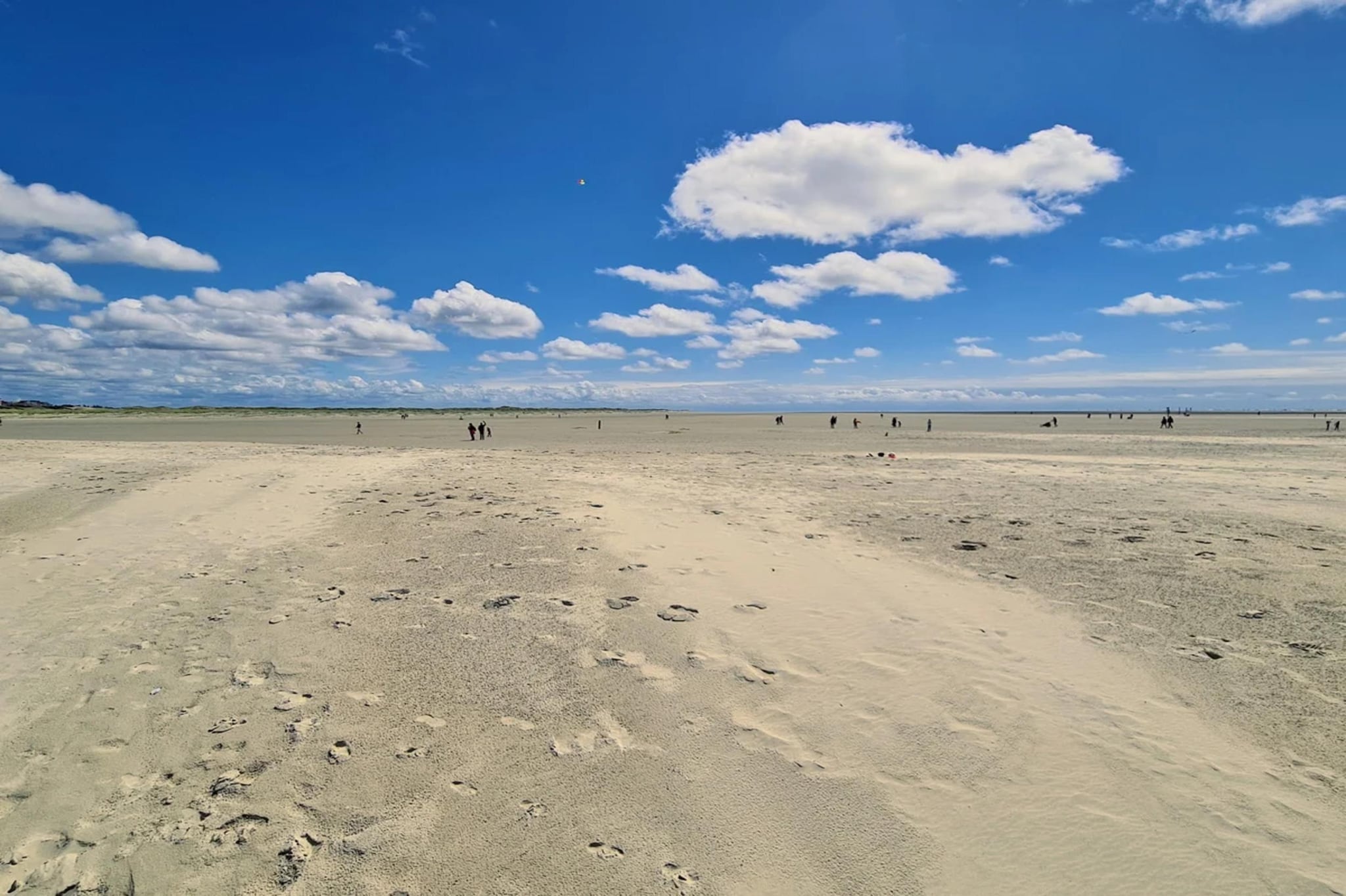 LiMa Whg Düne Söben-Gebieden zomer 5km