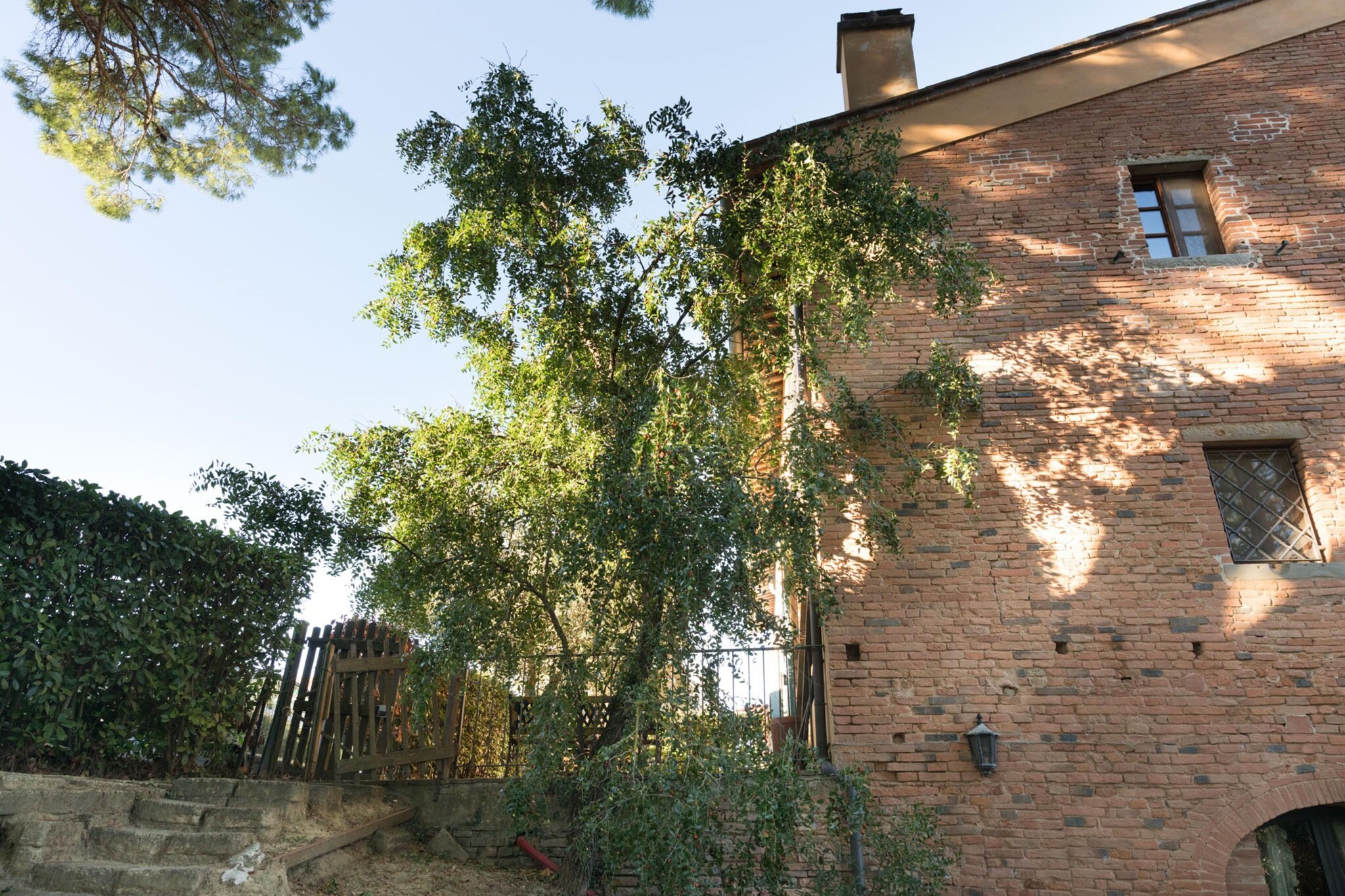 Exterior Summer