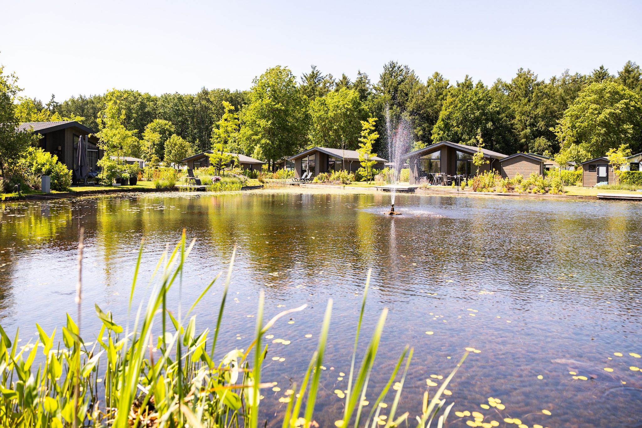 Vakantiepark Molenvelden 6-Parkeinrichtungen