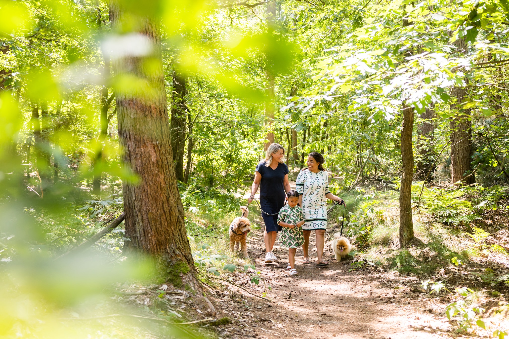 Vakantiepark Molenvelden 6-Parkeinrichtungen