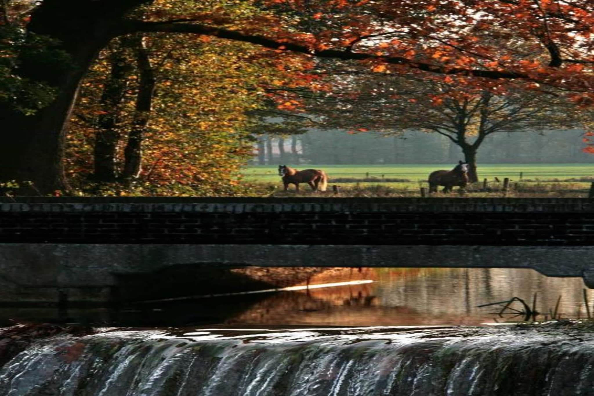 Vakantiepark Molenvelden 6-Gebiete Sommer 20 km