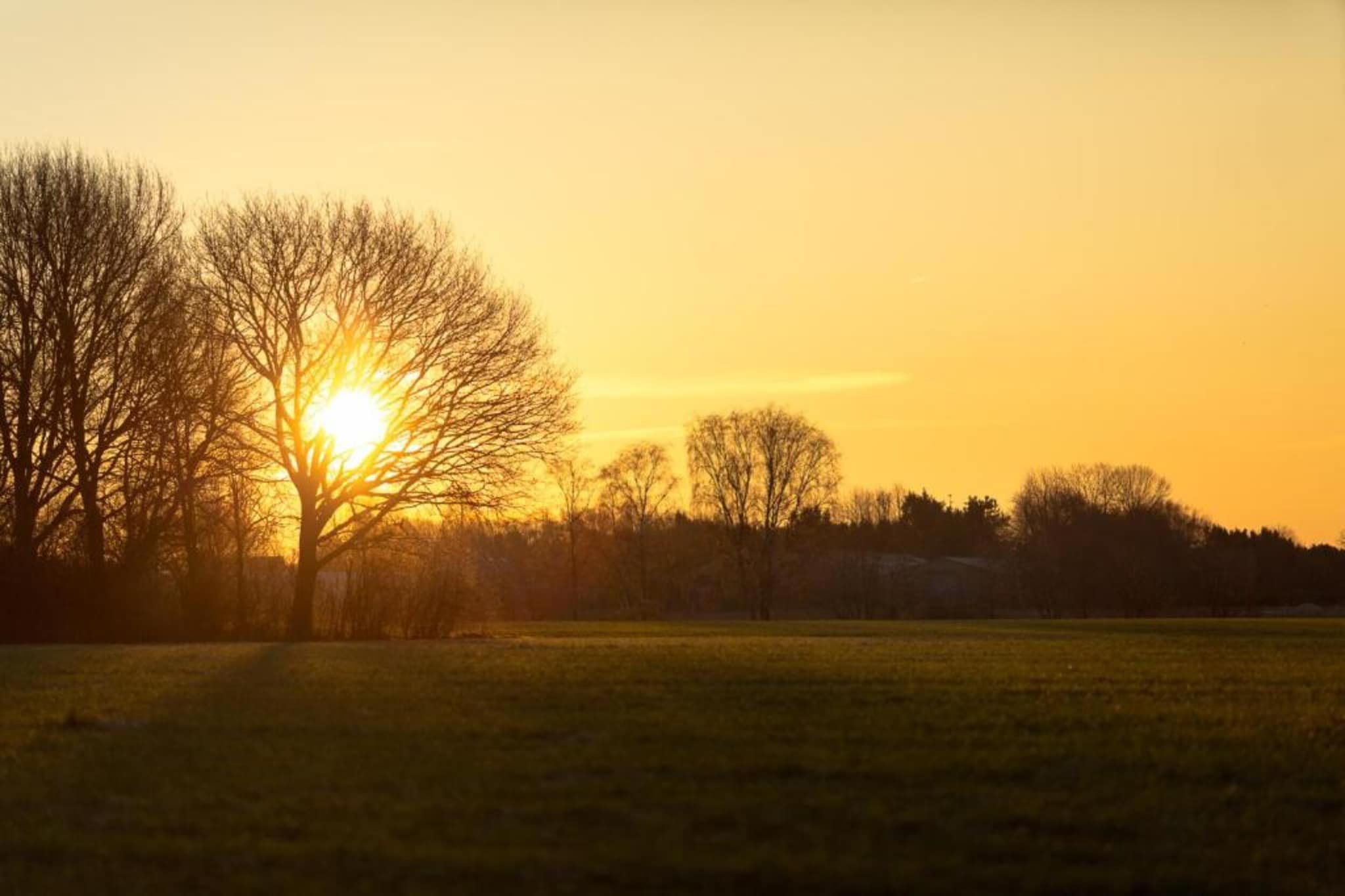 Vakantiepark Molenvelden 6-Gebiete Sommer 20 km