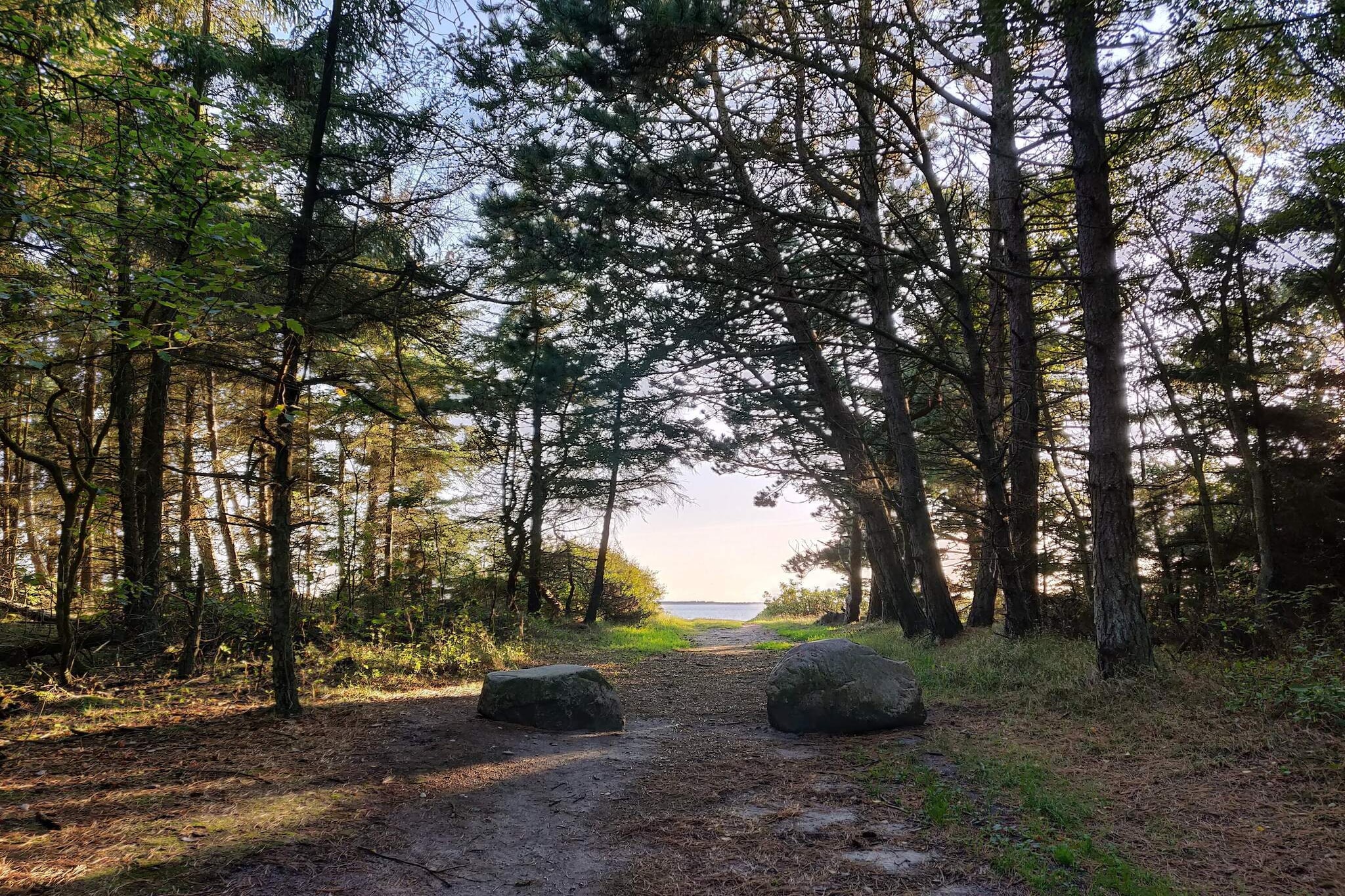 3 persoons vakantie huis in Esbjerg V-By Traum-Buitenlucht