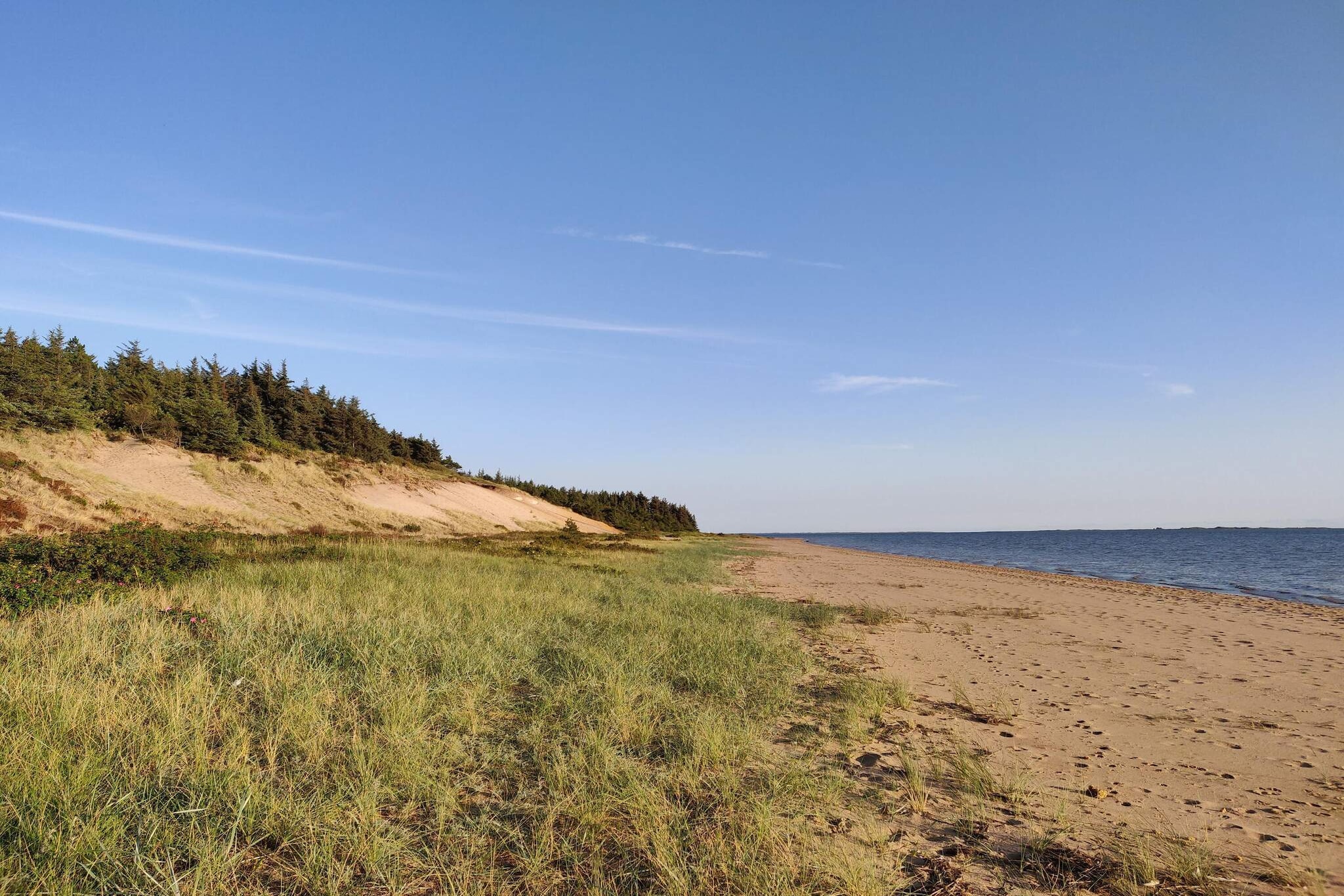 3 persoons vakantie huis in Esbjerg V-By Traum-Buitenlucht