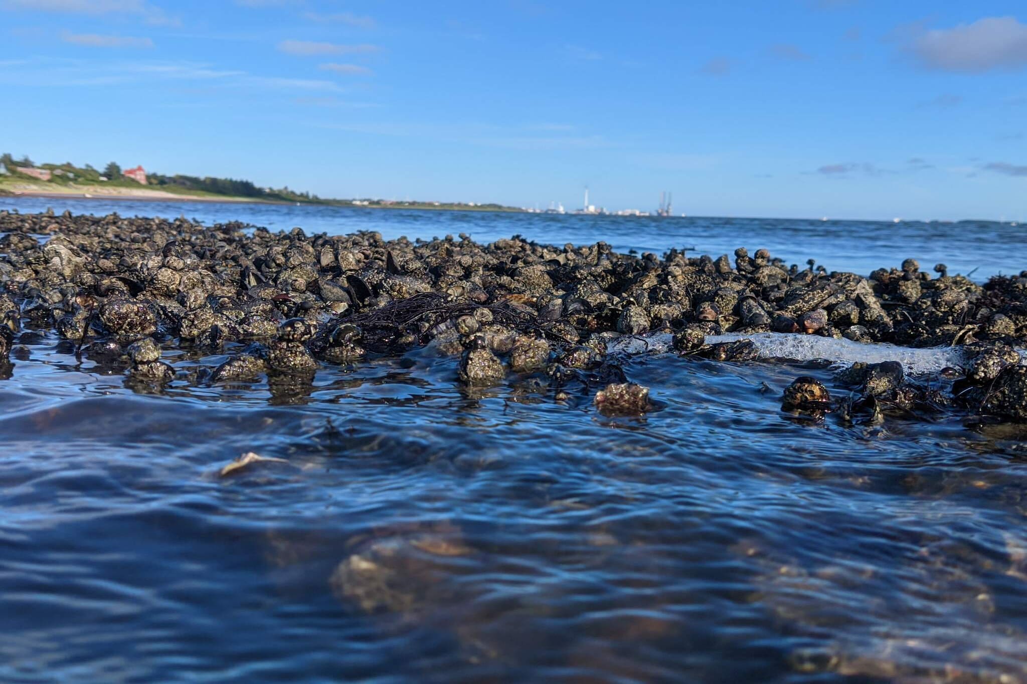 3 persoons vakantie huis in Esbjerg V-By Traum-Waterzicht