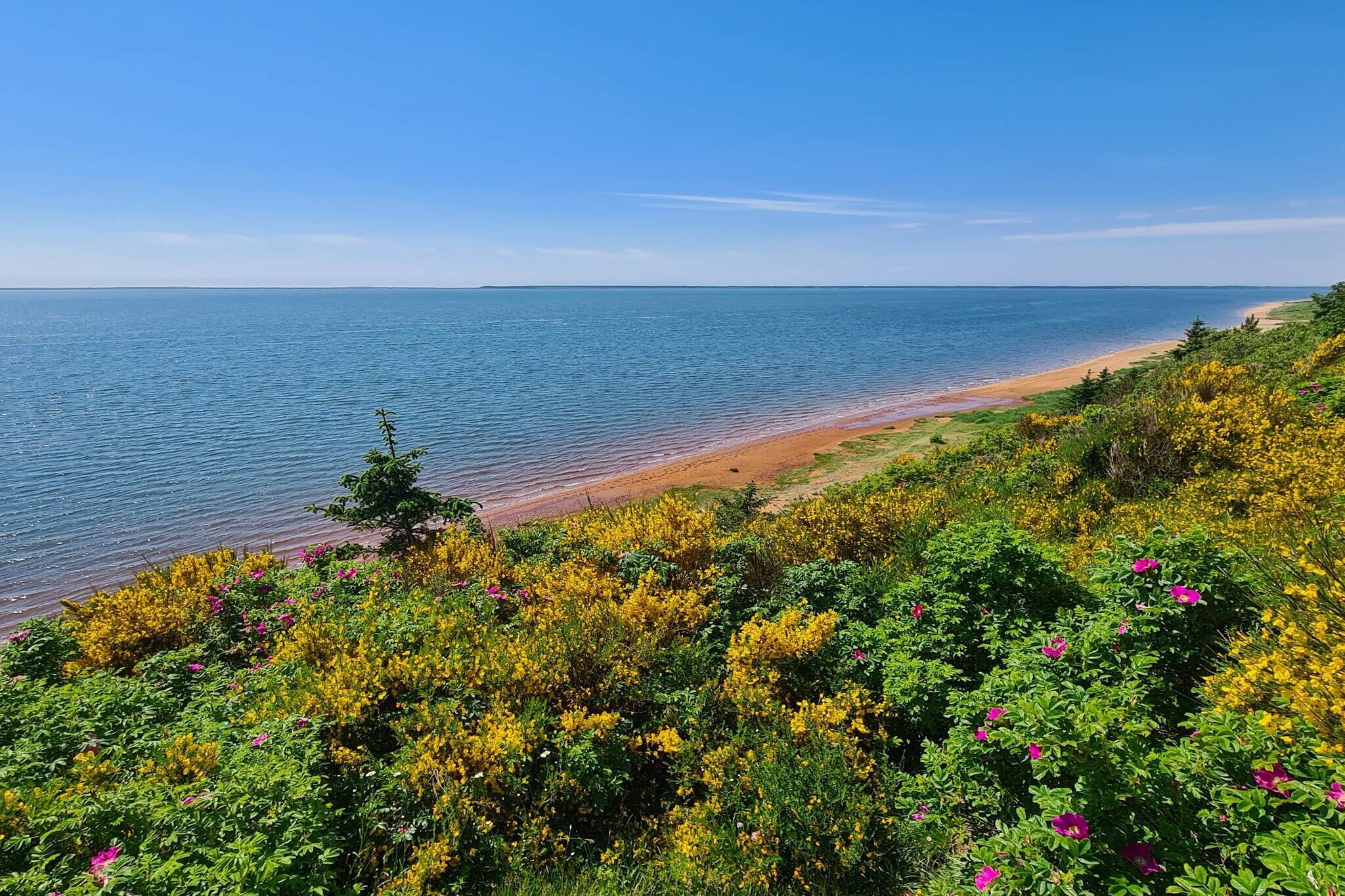 3 persoons vakantie huis in Esbjerg V-By Traum-Waterzicht