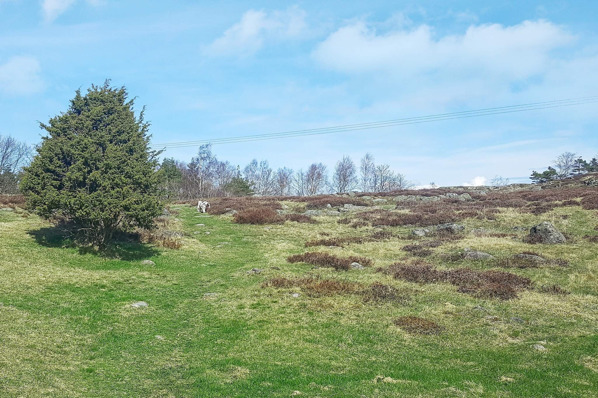 Internet Access DSL, Living room(2x single bed), open kitchen(cooker(electric), hood, coffee machine, microwave, fridge-freezer, water from well), Living/bed room(double folding bed, DVD player, radio, CD player), bathroom(washbasin, shower, toilet), heating(electric), garden furniture, BBQ, parking, play equipment