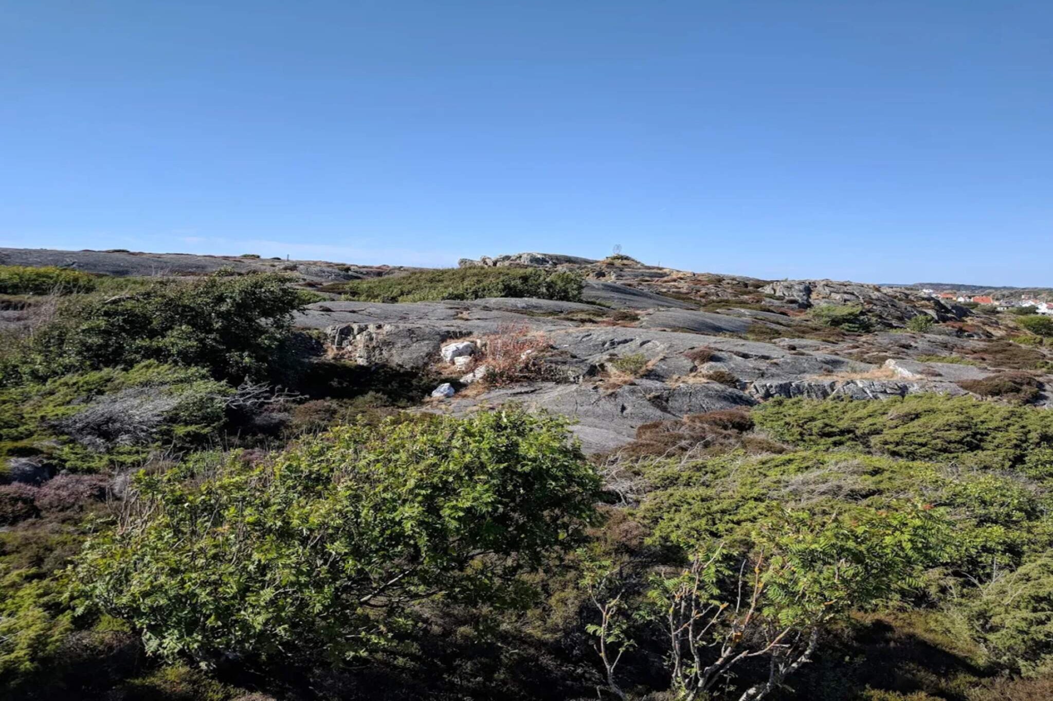 4 persoons vakantie huis in KYRKESUND-By Traum-Niet-getagd