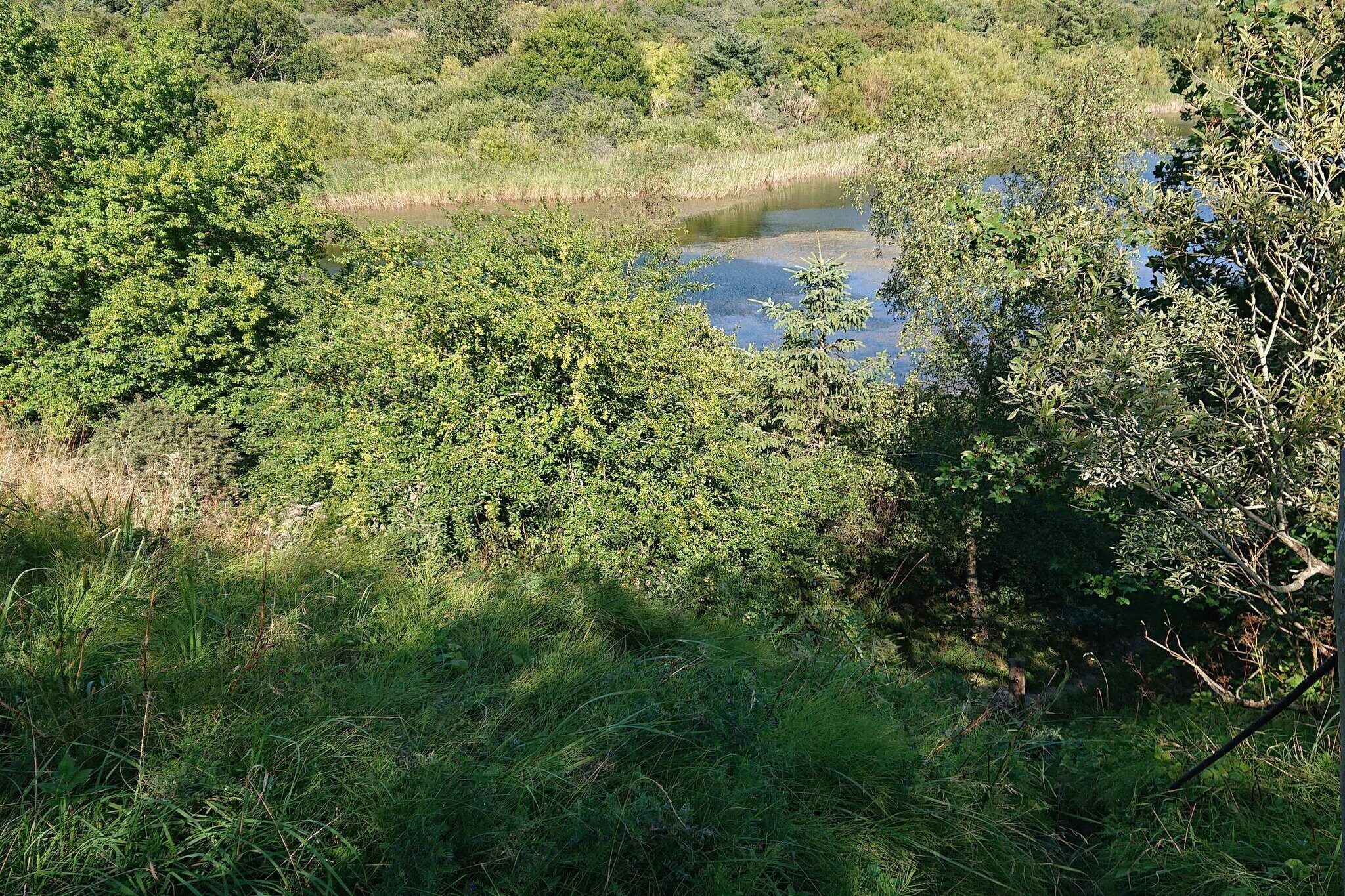 6 Personen Ferienhaus in Pandrup-Wasserblick