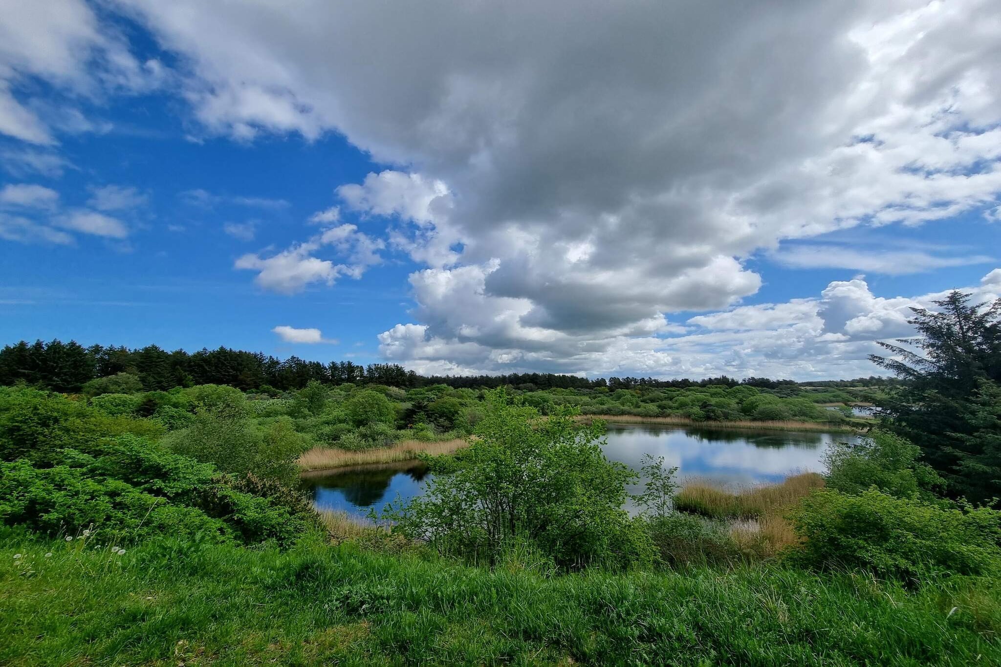 6 Personen Ferienhaus in Pandrup-Wasserblick