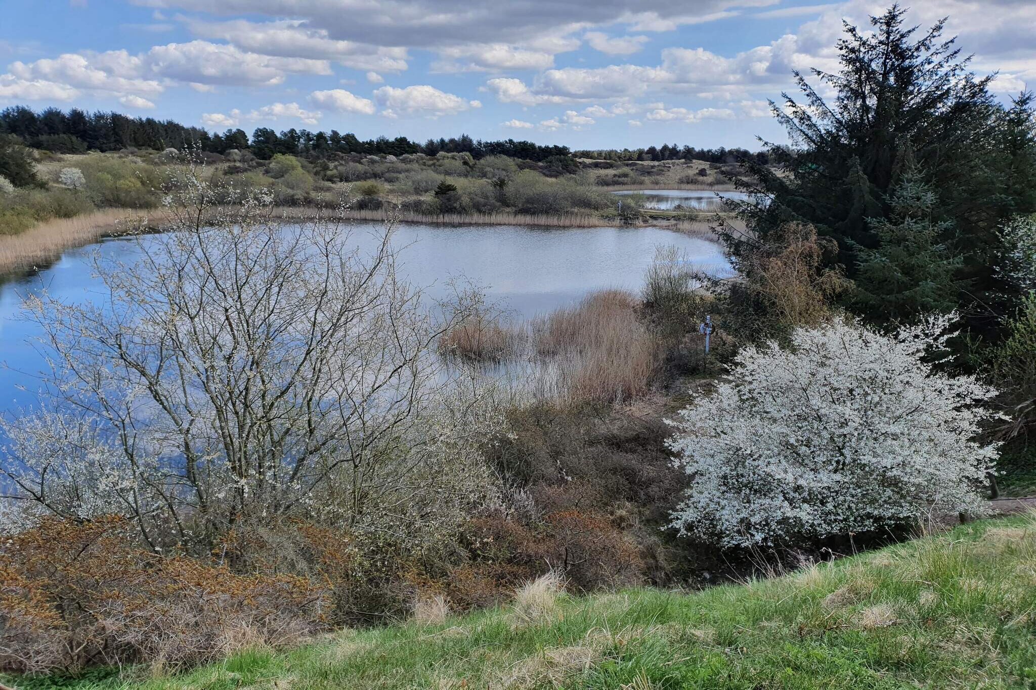 6 Personen Ferienhaus in Pandrup-Wasserblick