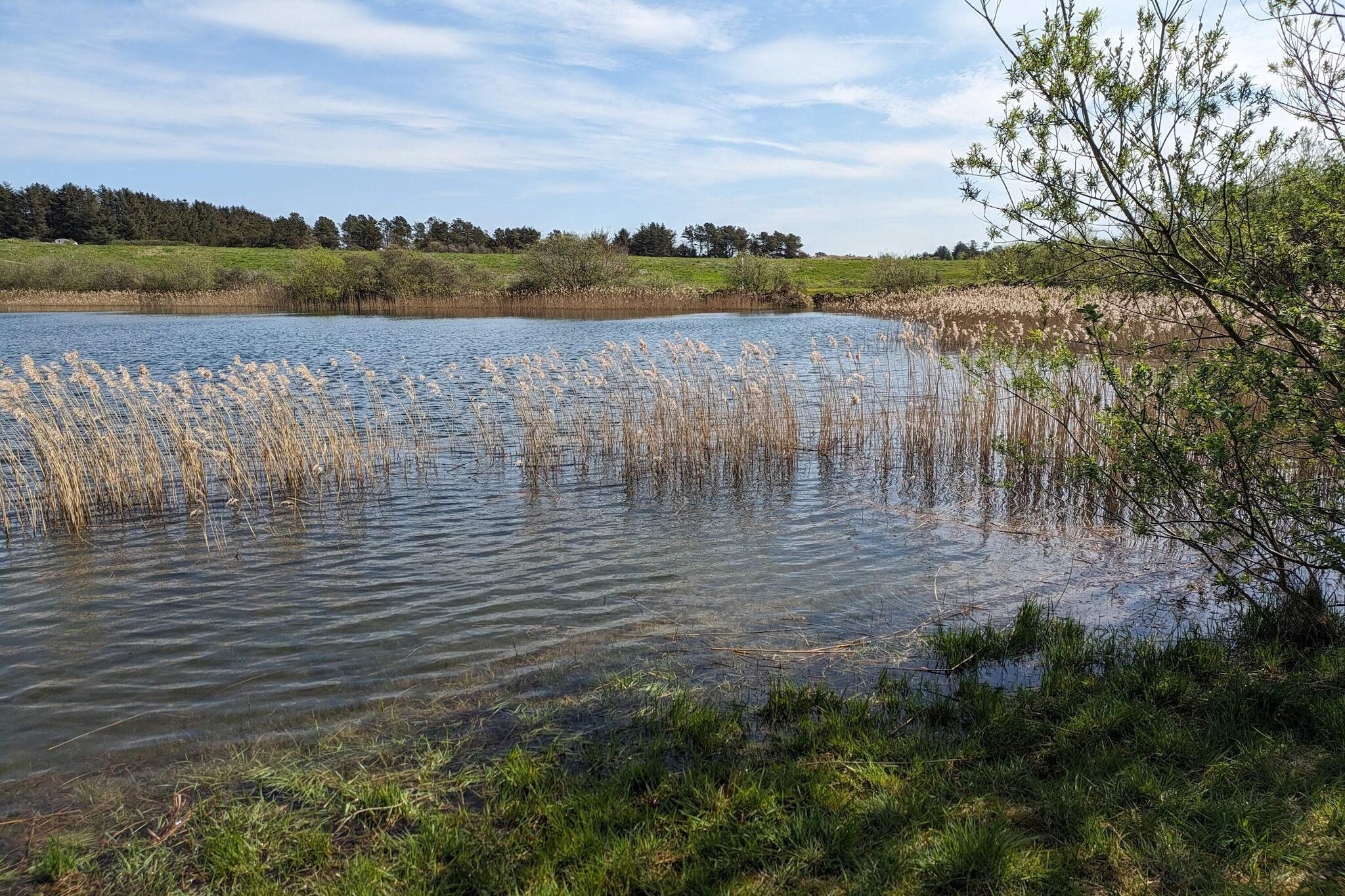 6 Personen Ferienhaus in Pandrup-Wasserblick