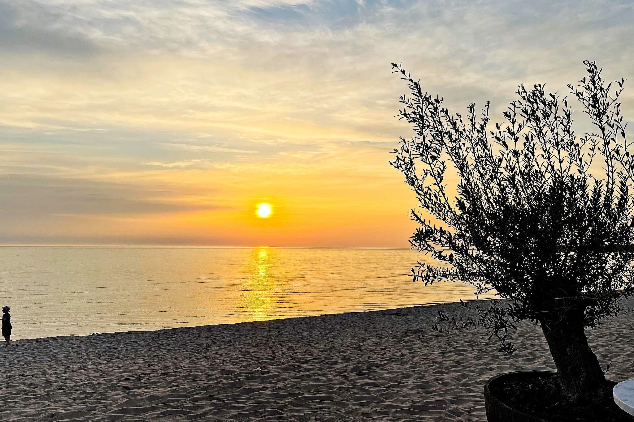 Moderne strandcottage in Tofta, Gotland - Niet-getagd