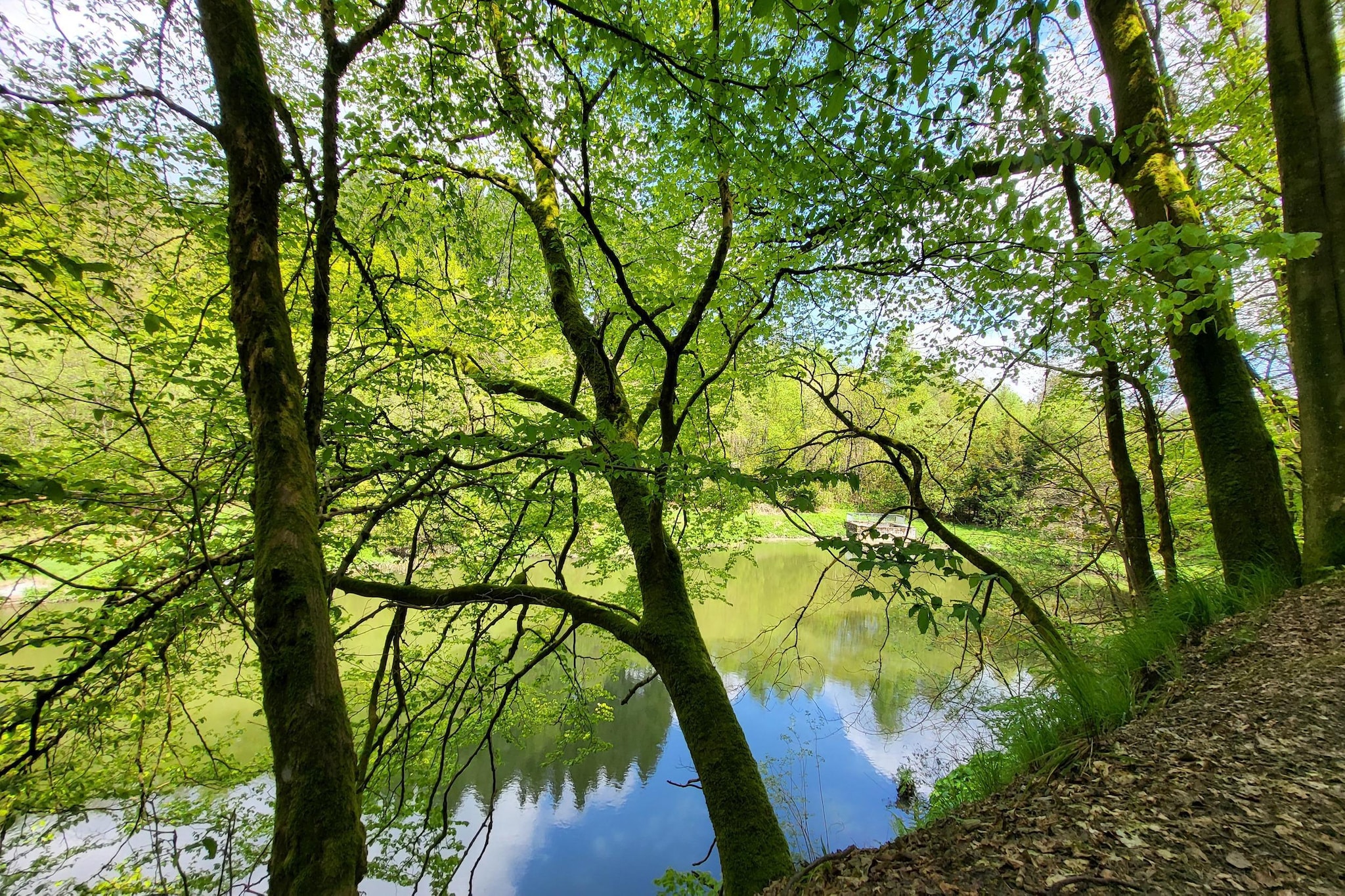 Weltring-Park 2-T-Gebieden zomer 5km