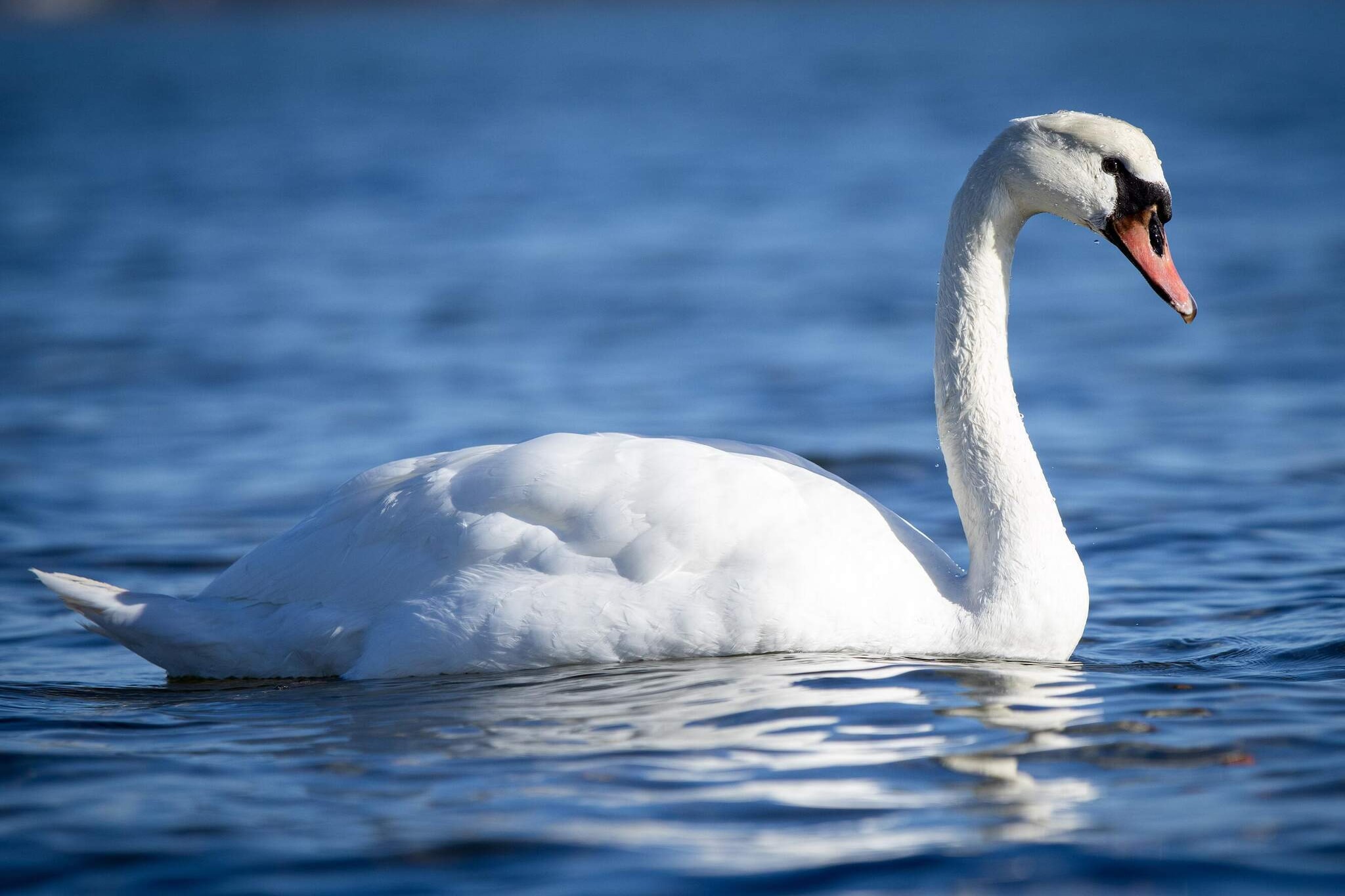 Retraite confortable a Binderup -- By Traum Ferienwohnungen-Vue sur l'eau