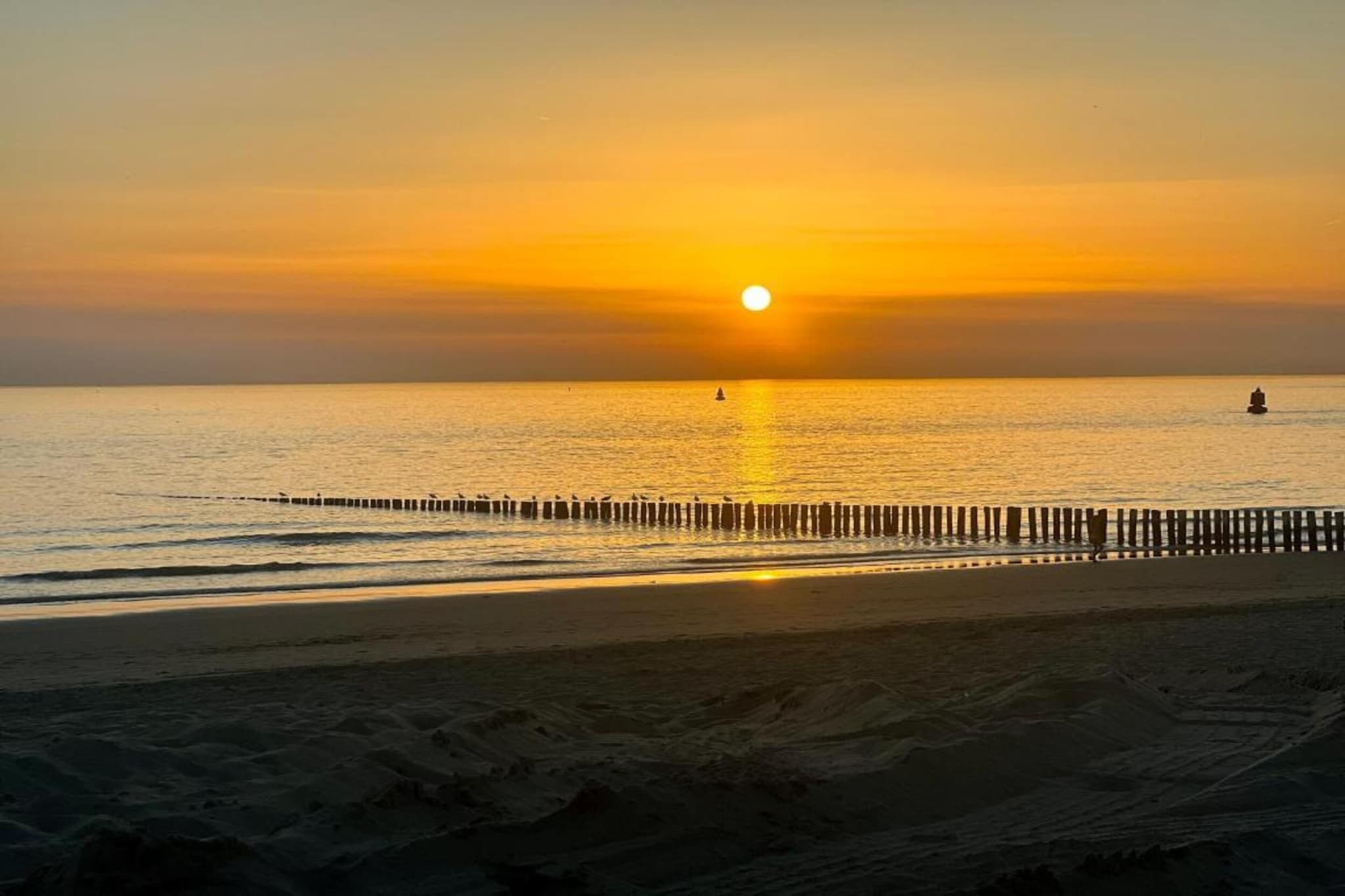 Vakantiepark Duinzicht 5-Areas summer 20km
