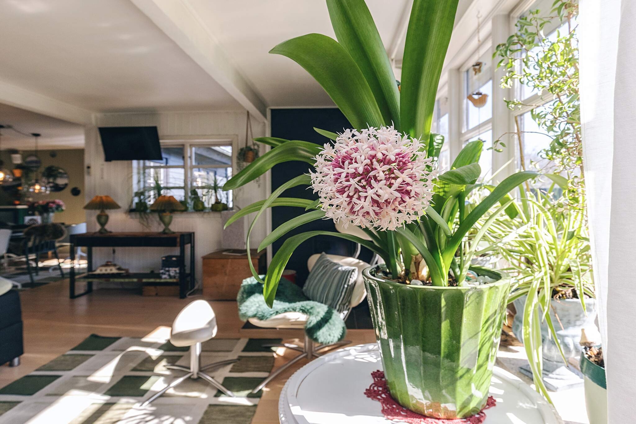 8 persoons vakantie huis in Gilleleje-By Traum - Binnen