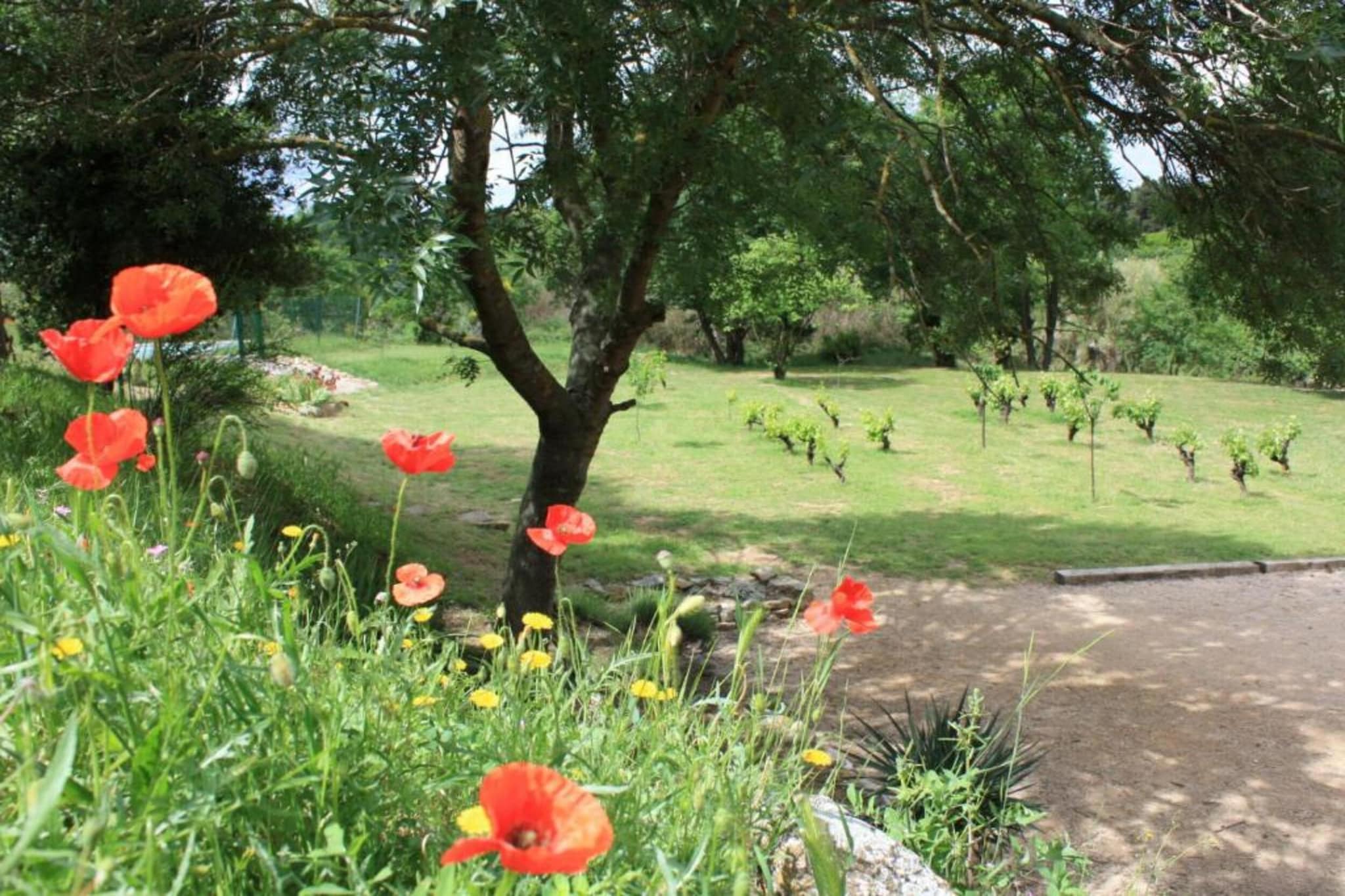 Gite Rozieres-Gebieden zomer 20km