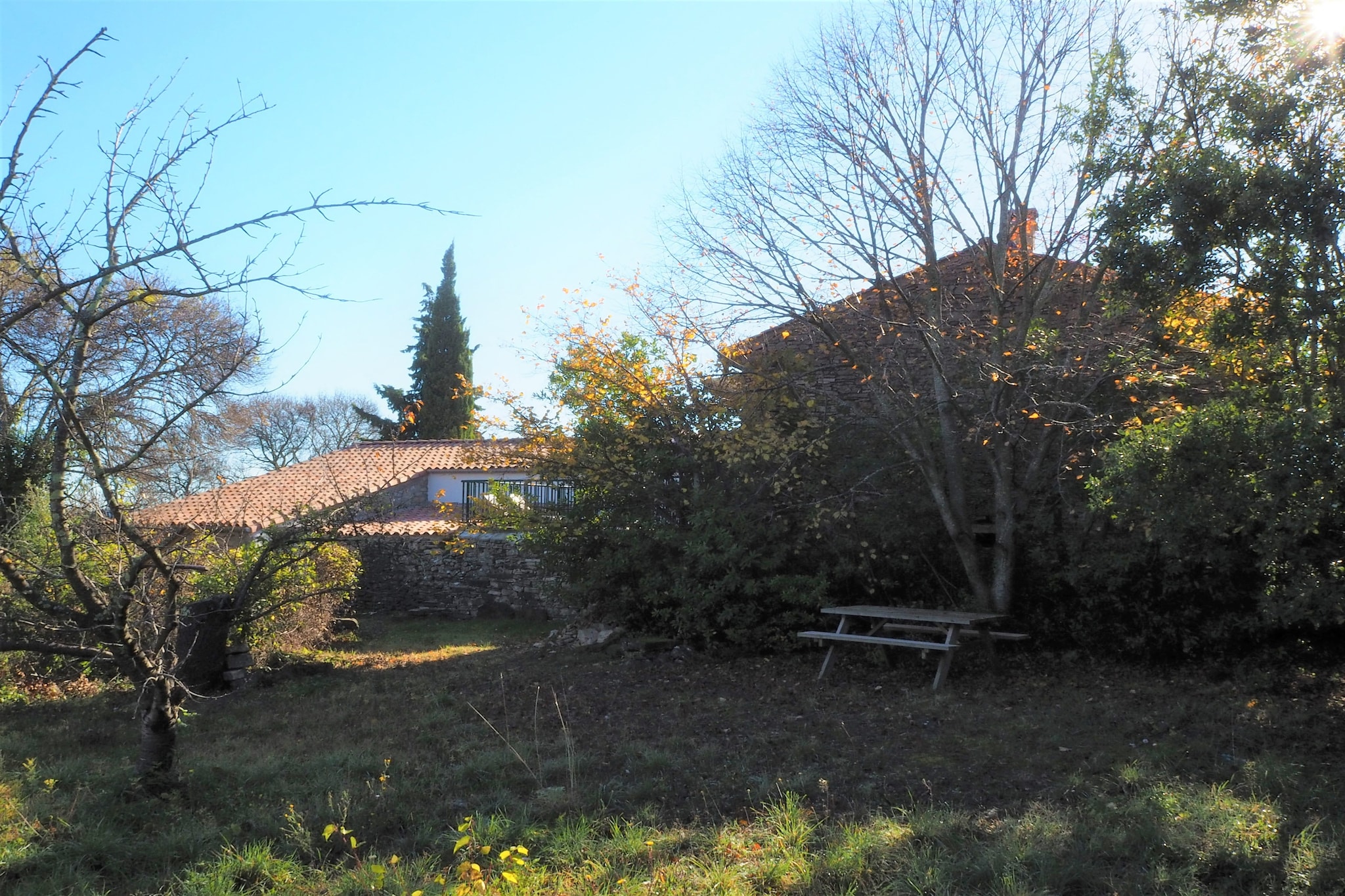 Garden Winter