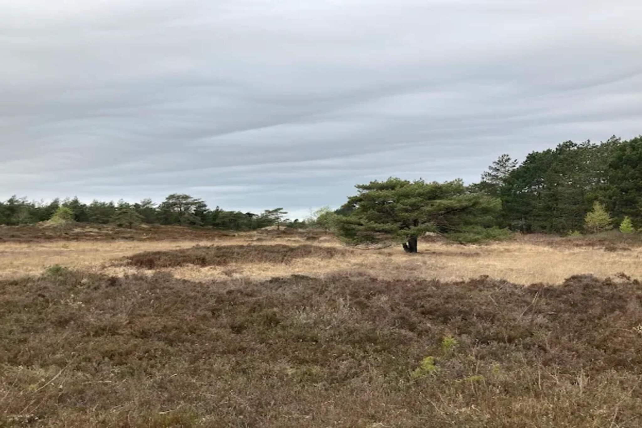 6 persoons vakantie huis in Rømø-By Traum-Niet-getagd