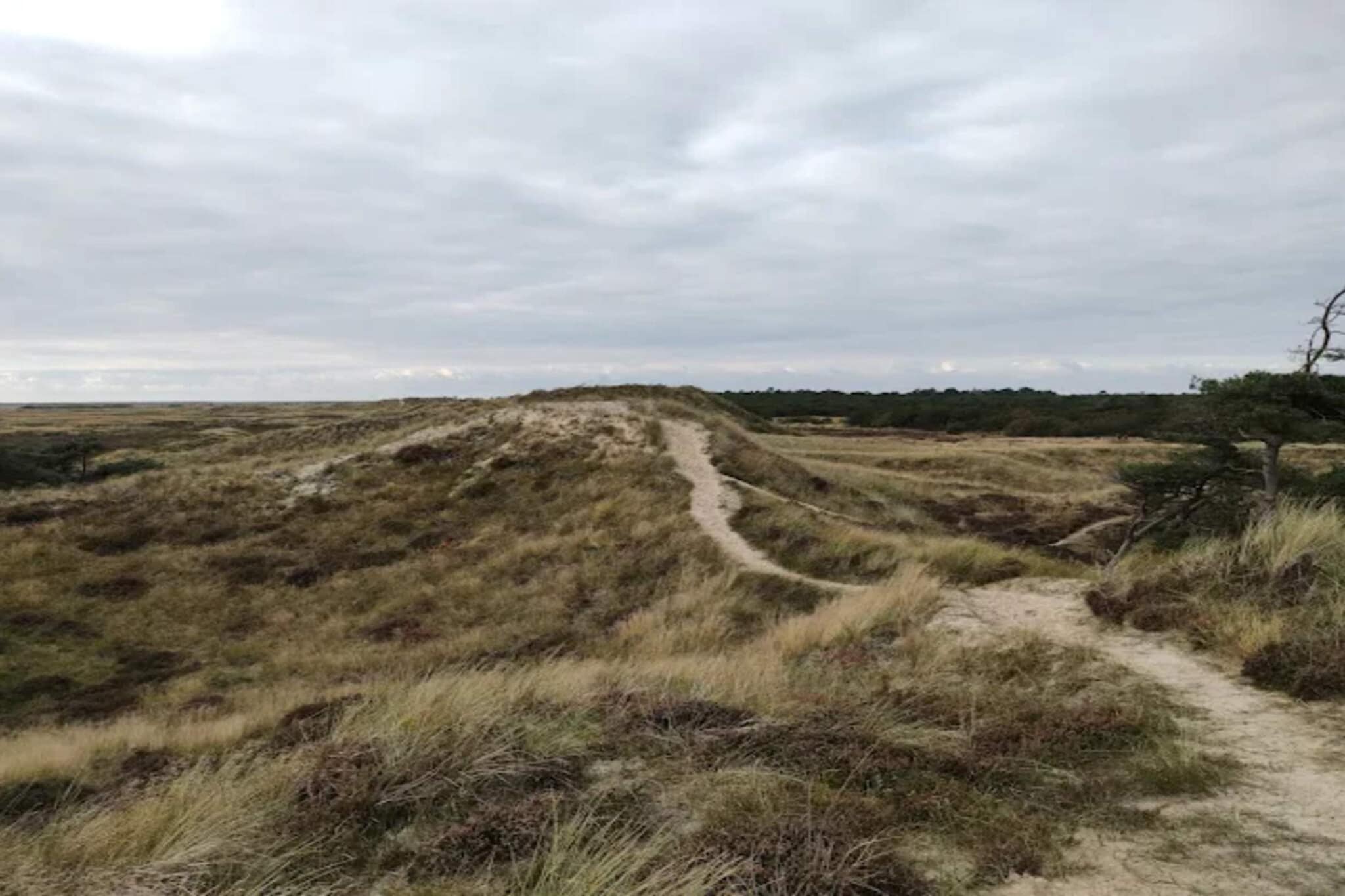 6 persoons vakantie huis in Rømø-By Traum-Niet-getagd