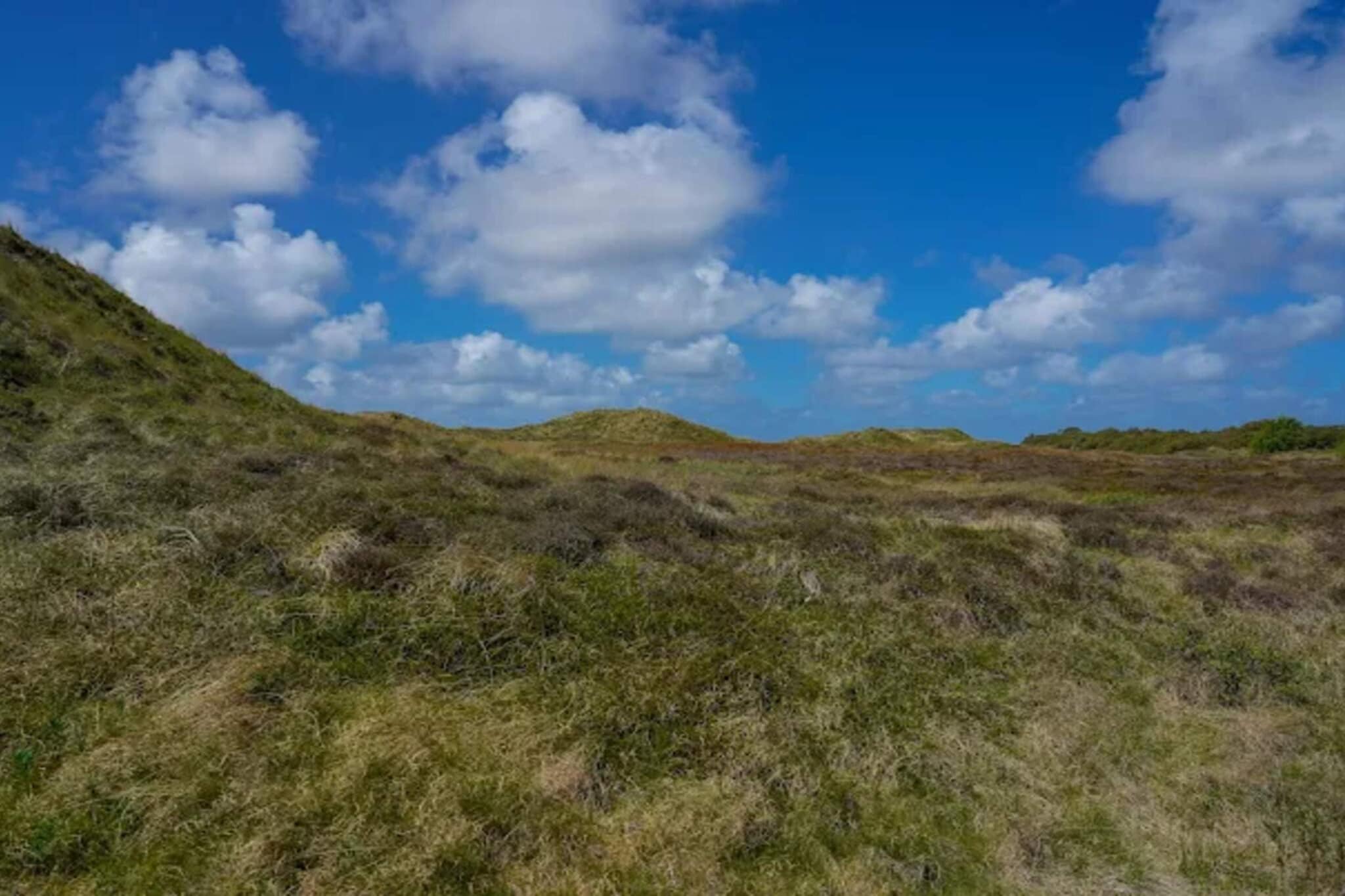 6 persoons vakantie huis in Rømø-By Traum-Niet-getagd