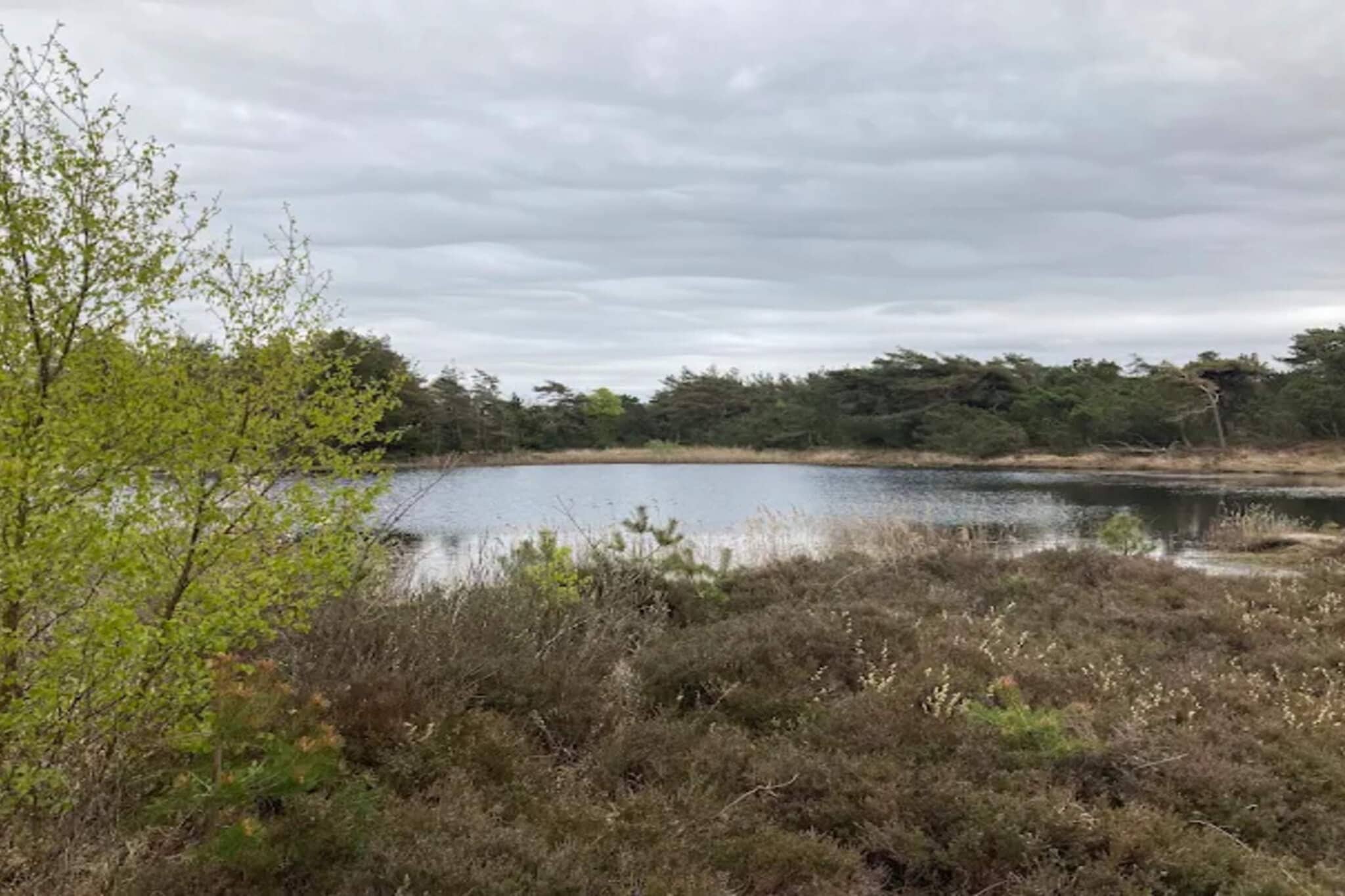6 persoons vakantie huis in Rømø-By Traum-Waterzicht