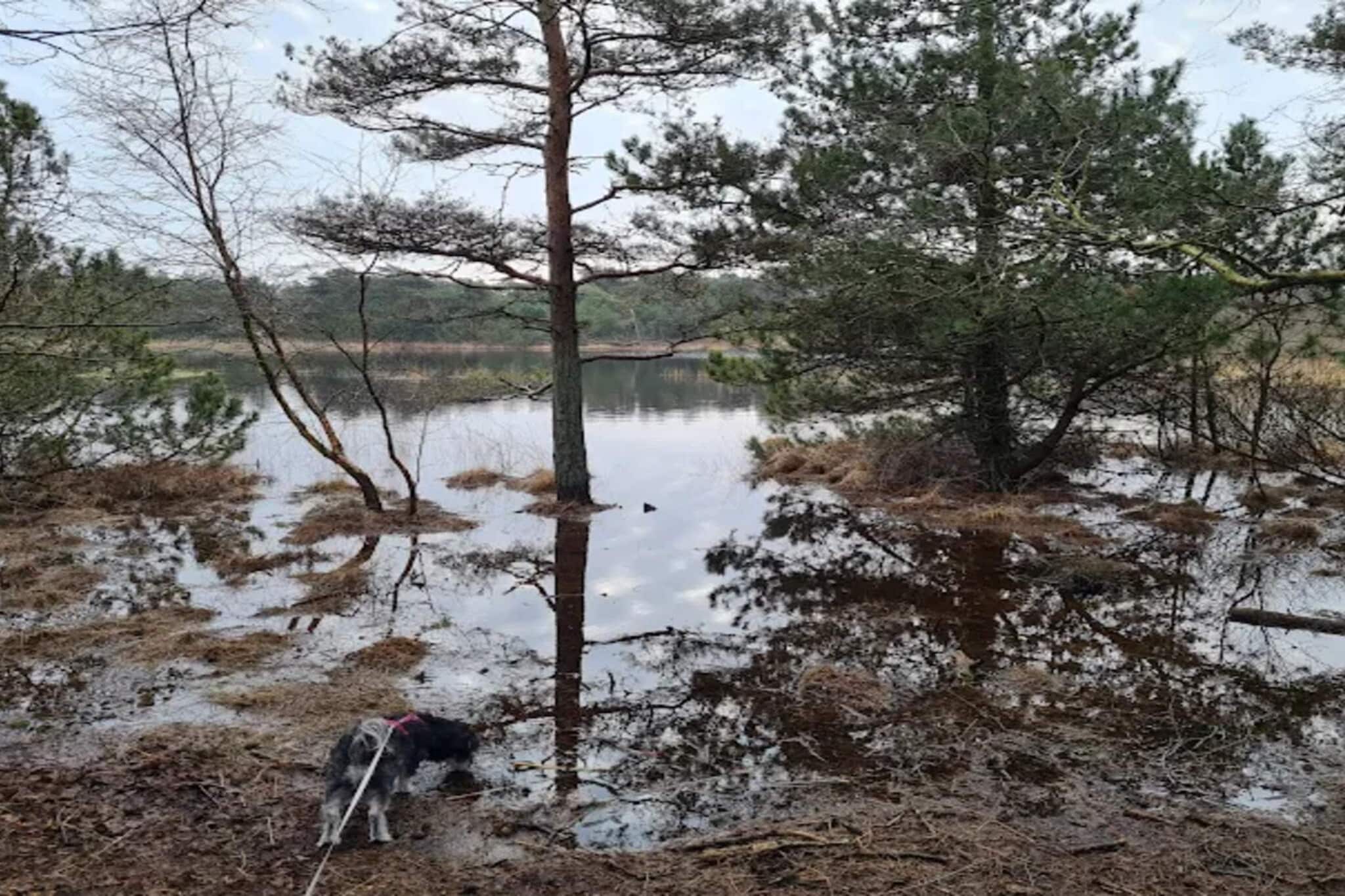 6 persoons vakantie huis in Rømø-By Traum-Waterzicht