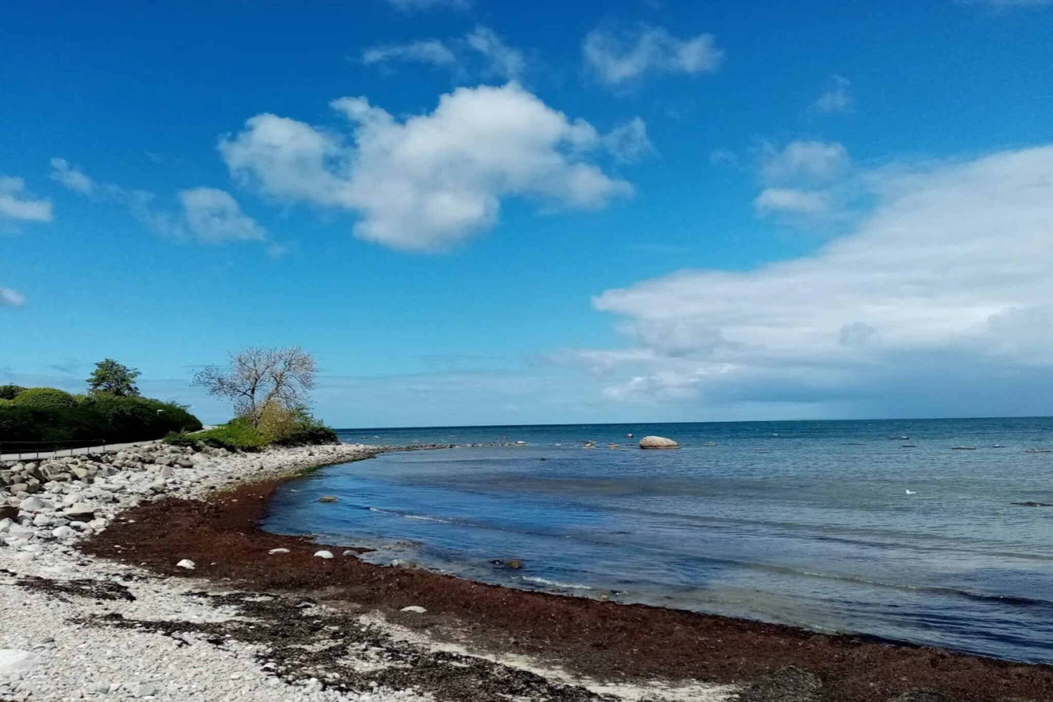 8 person holiday home in BÃ…STAD-By Traum