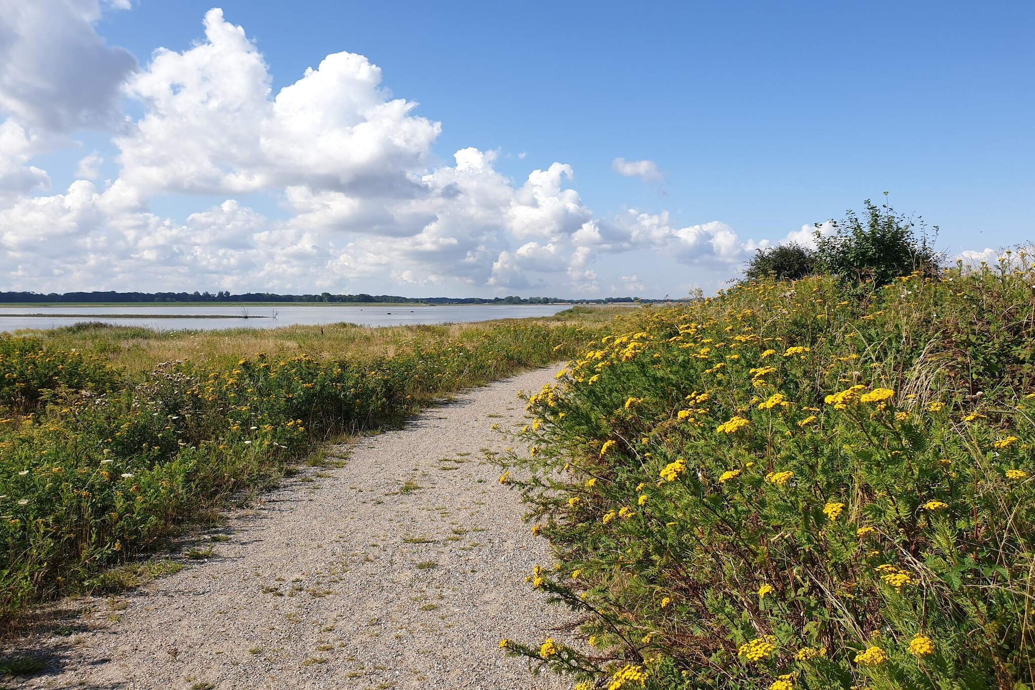 8 Personen Ferienhaus in Bogense-By Traum - Wasserblick