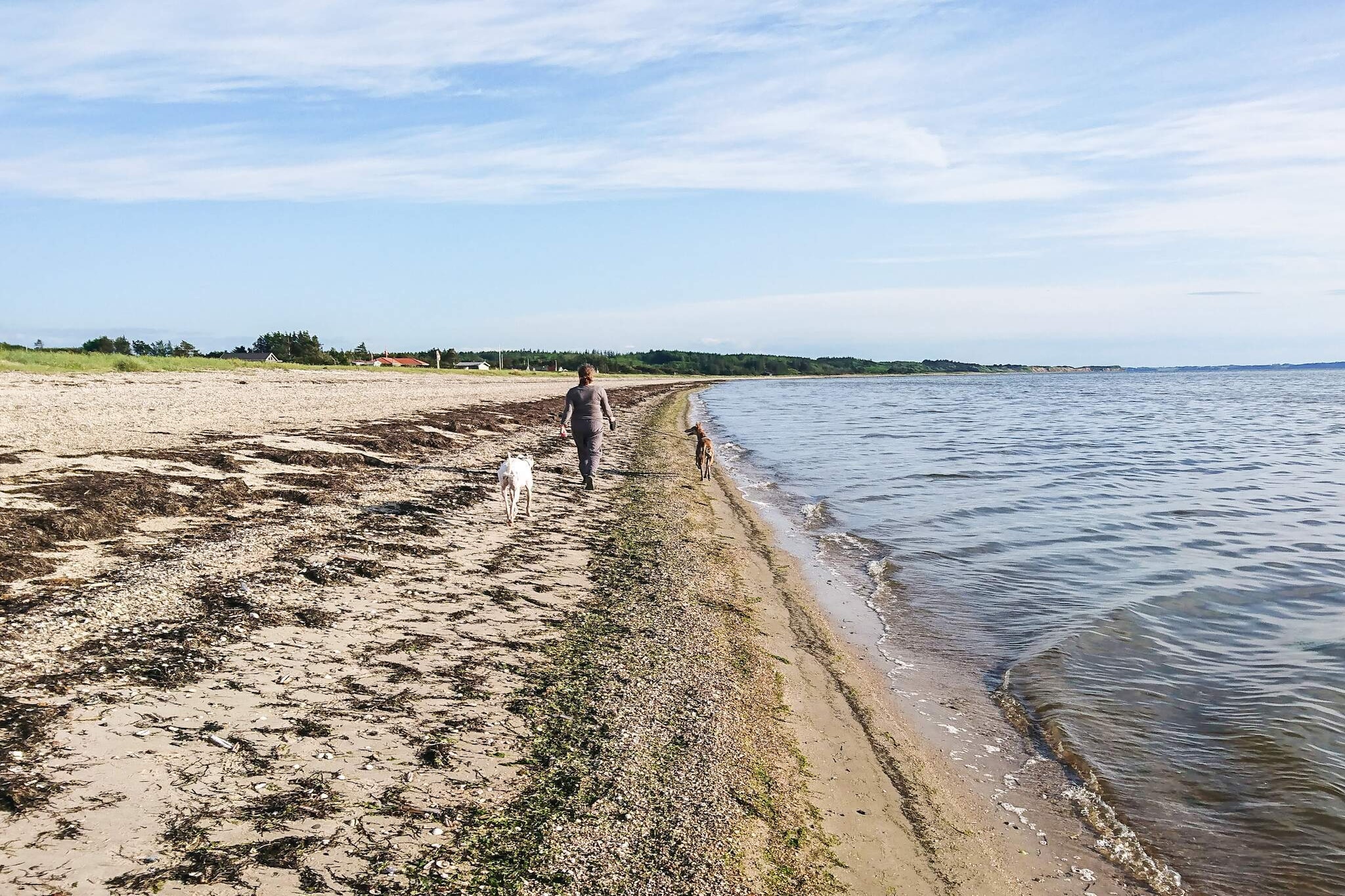 12 person holiday home in Løgstør-By Traum-Water view