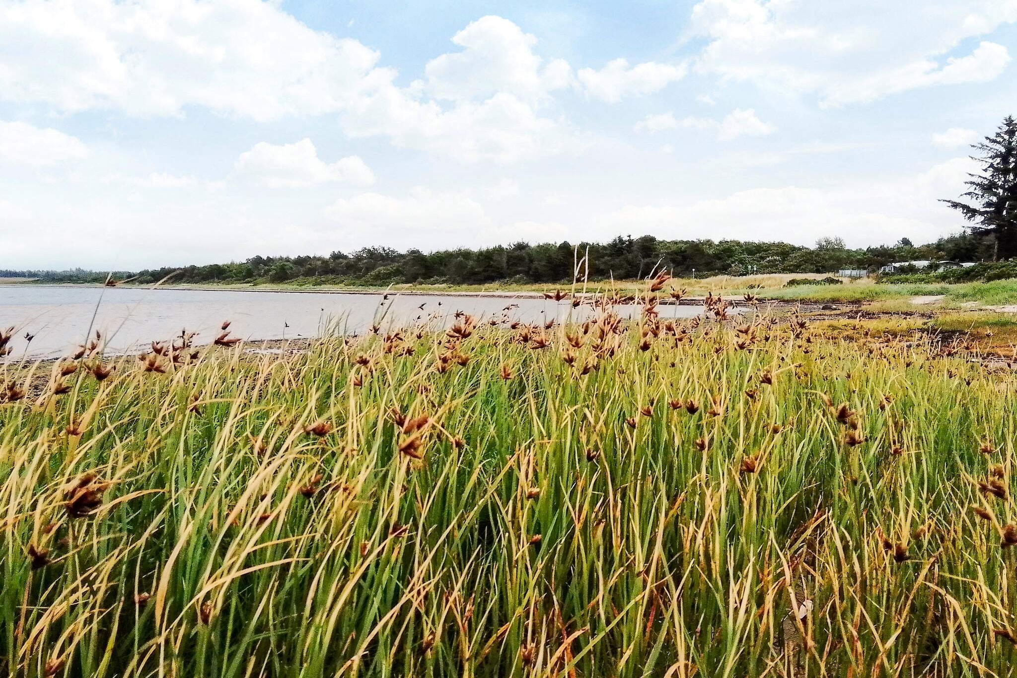 Maison de vacances pour 6 a Farsø-By Traum - Vue sur l'eau